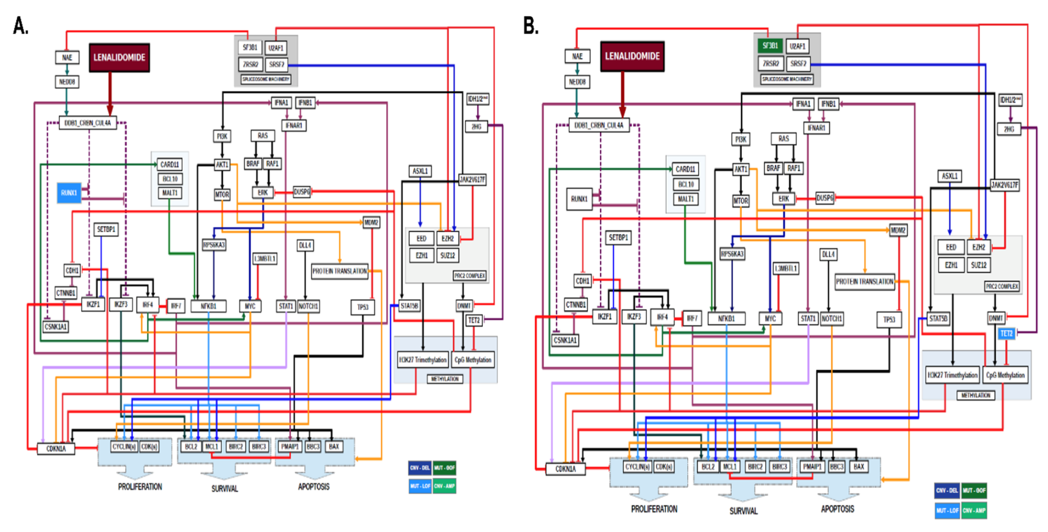 Ijms 21 03323 g005 Ijms 21 03323 g005