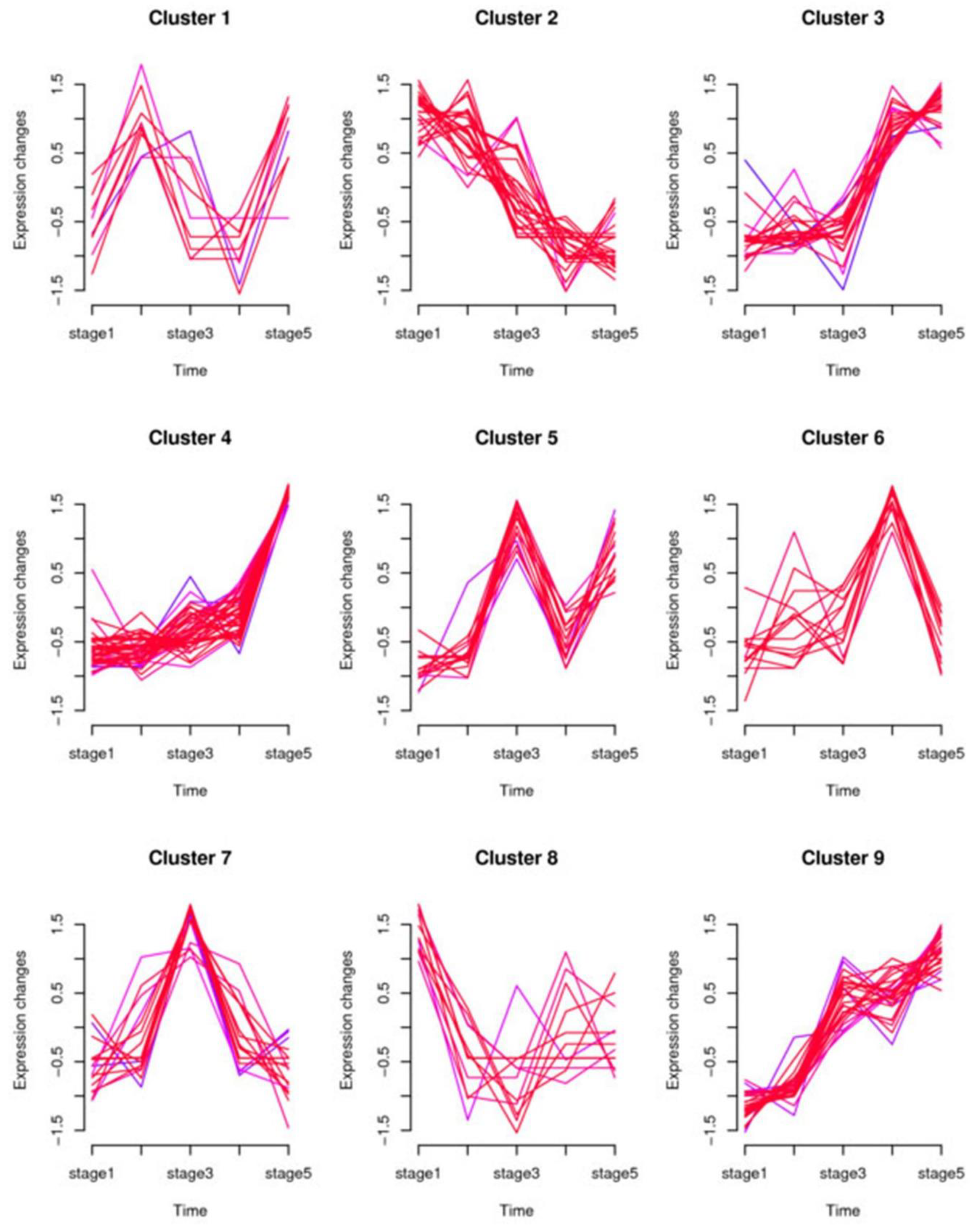 Ijms 21 03324 g003 Ijms 21 03324 g003