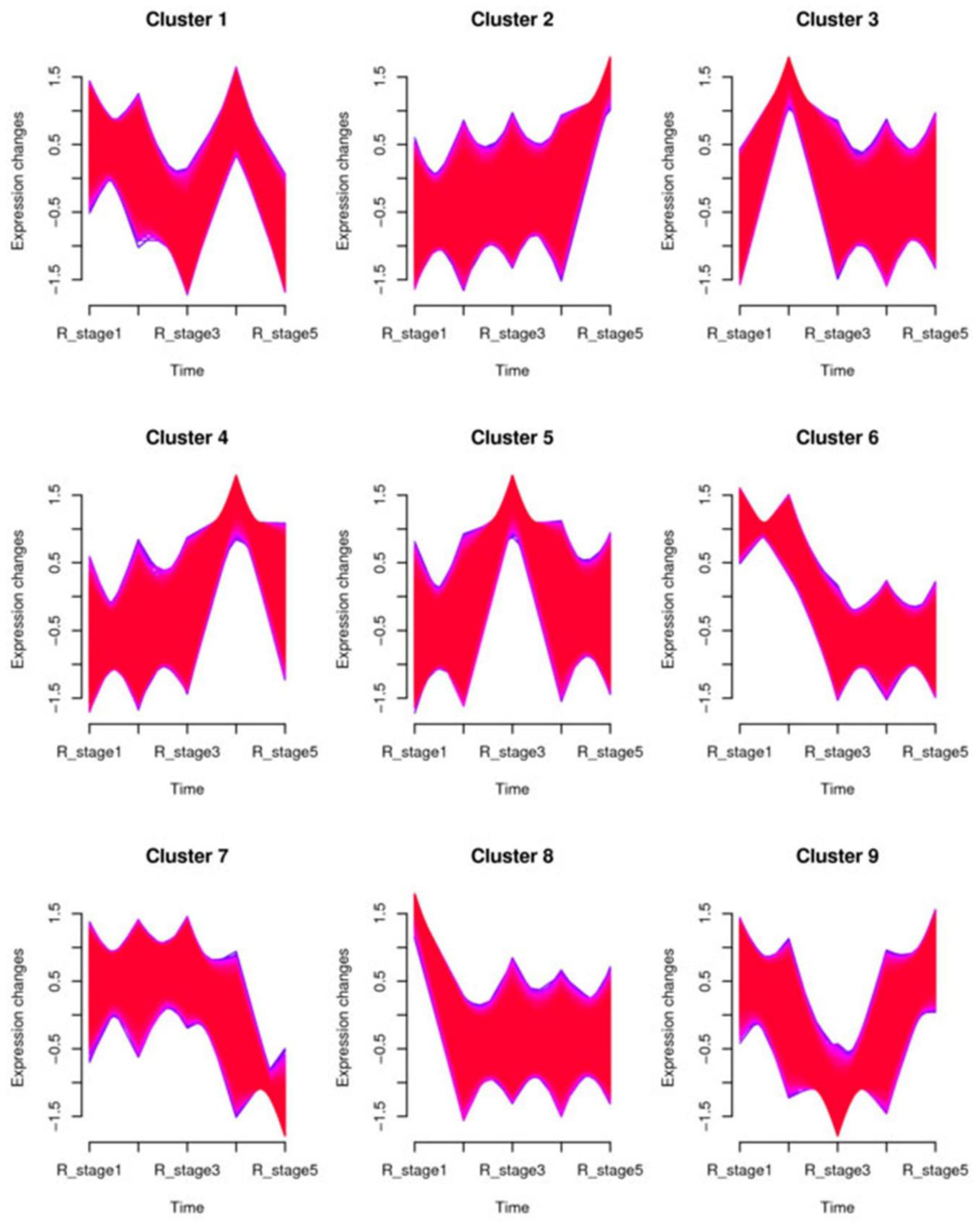 Ijms 21 03324 g005 Ijms 21 03324 g005