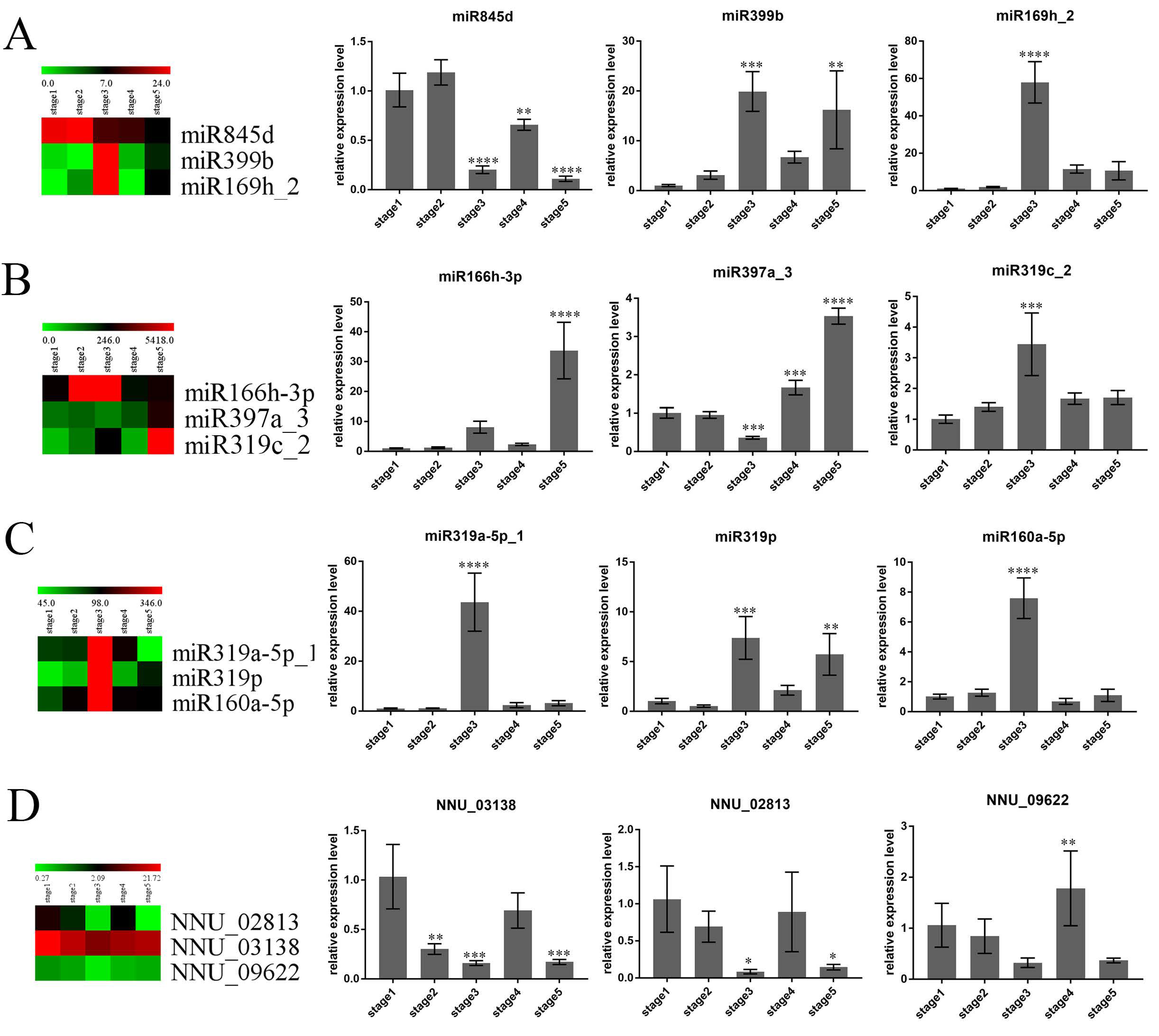 Ijms 21 03324 g006 Ijms 21 03324 g006