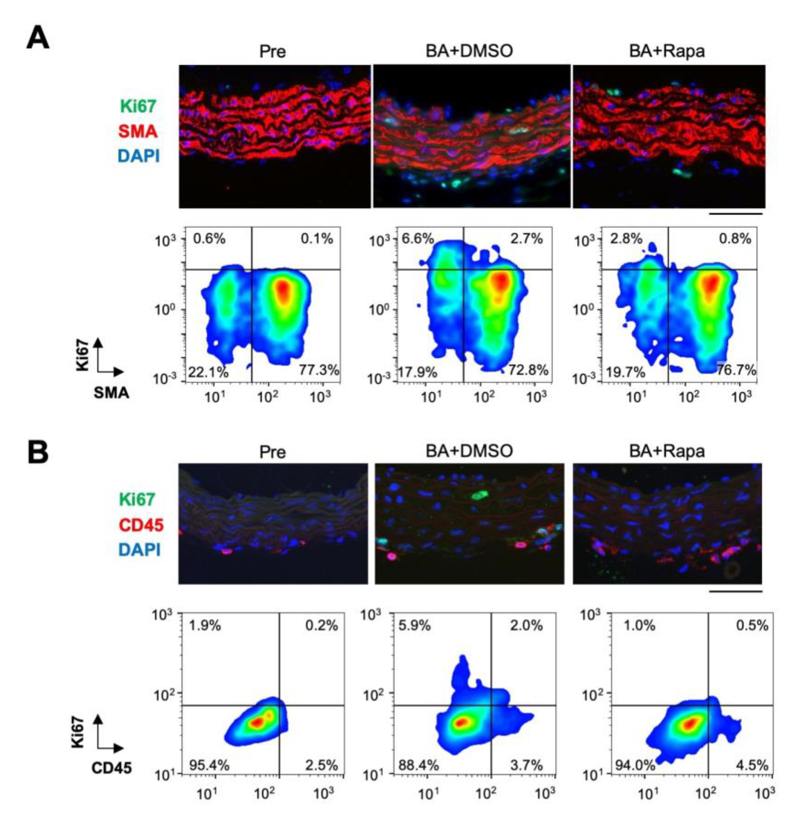 Ijms 21 03341 g002 Ijms 21 03341 g002