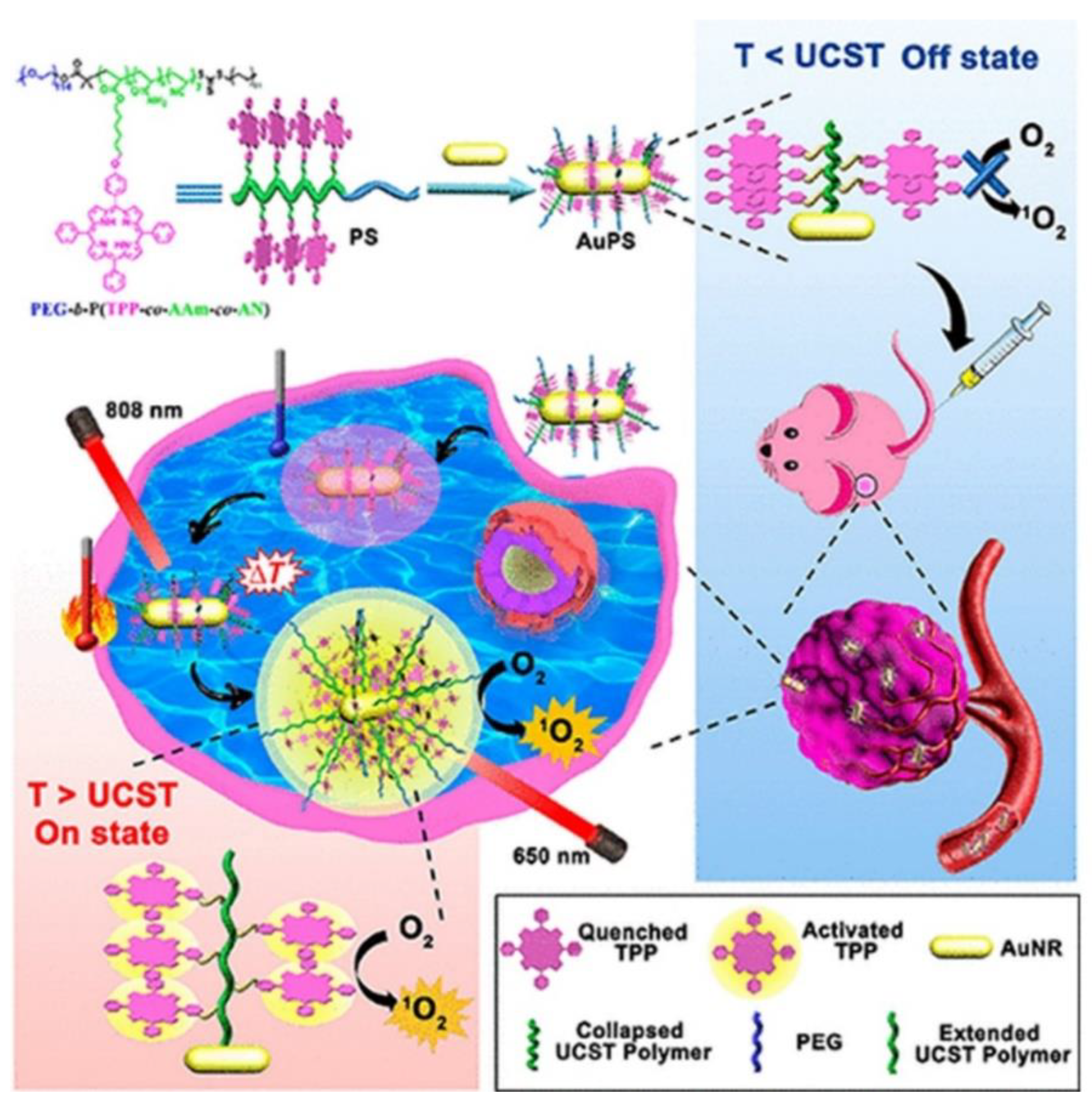 Ijms 21 03358 g002 Ijms 21 03358 g002