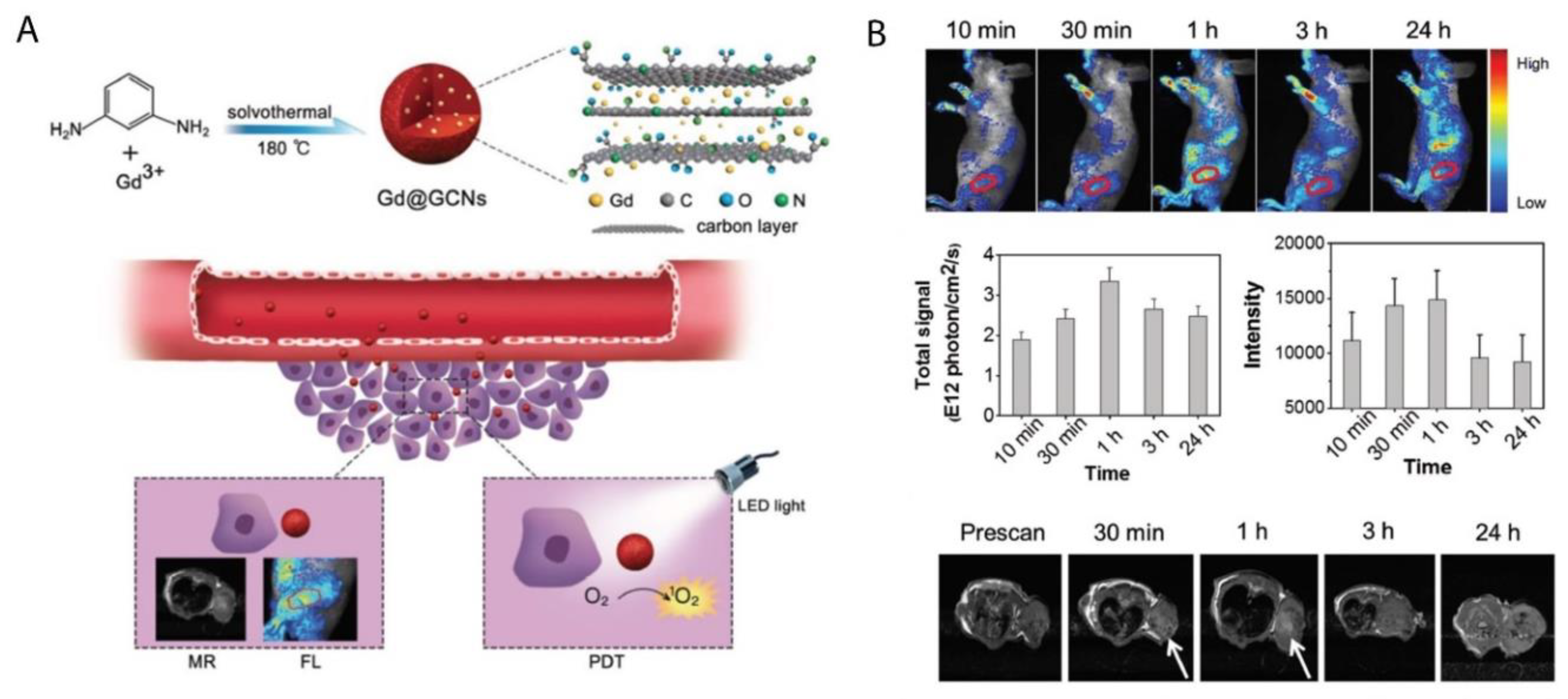 Ijms 21 03358 g003 Ijms 21 03358 g003
