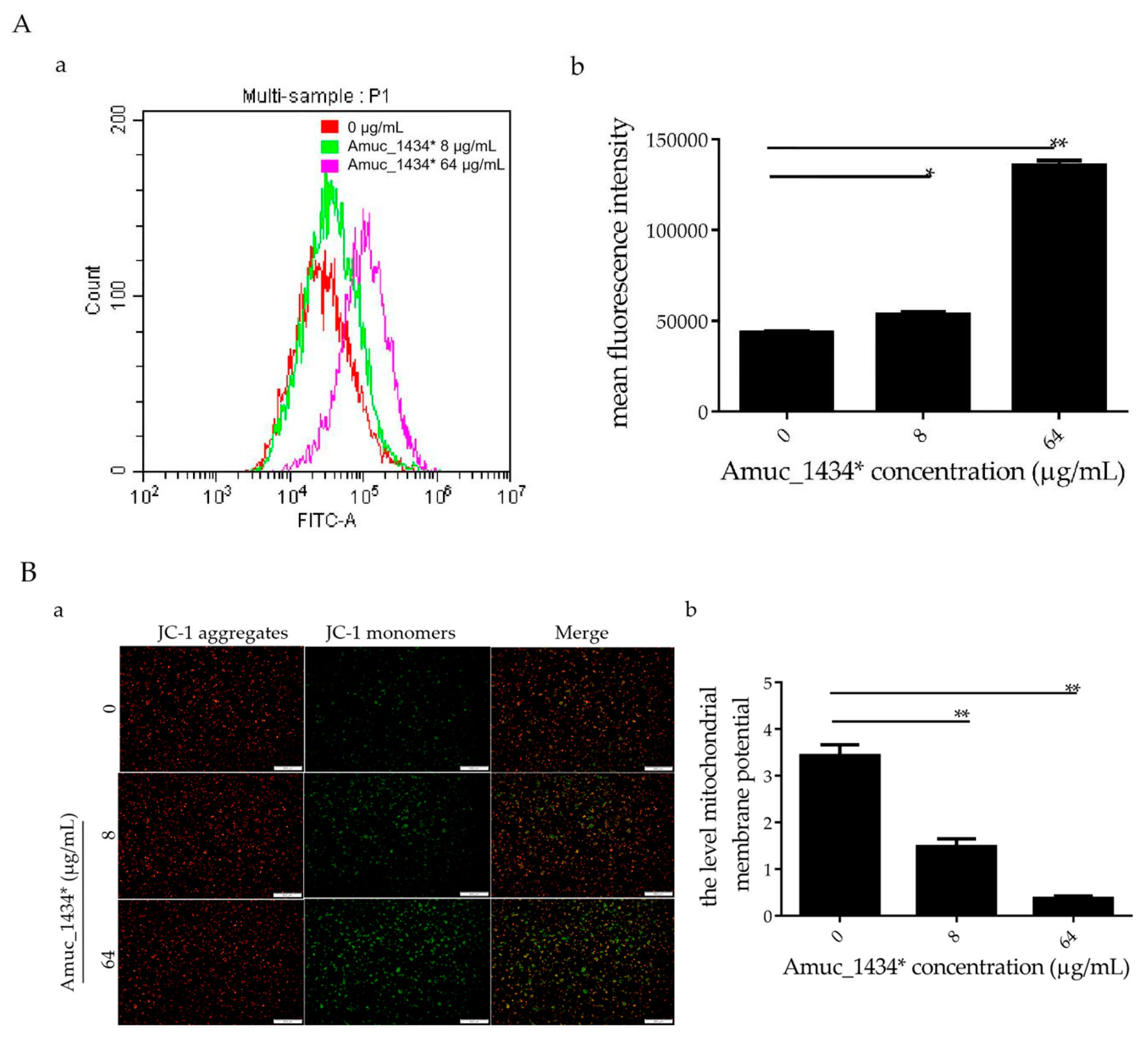 Ijms 21 03385 g004 Ijms 21 03385 g004