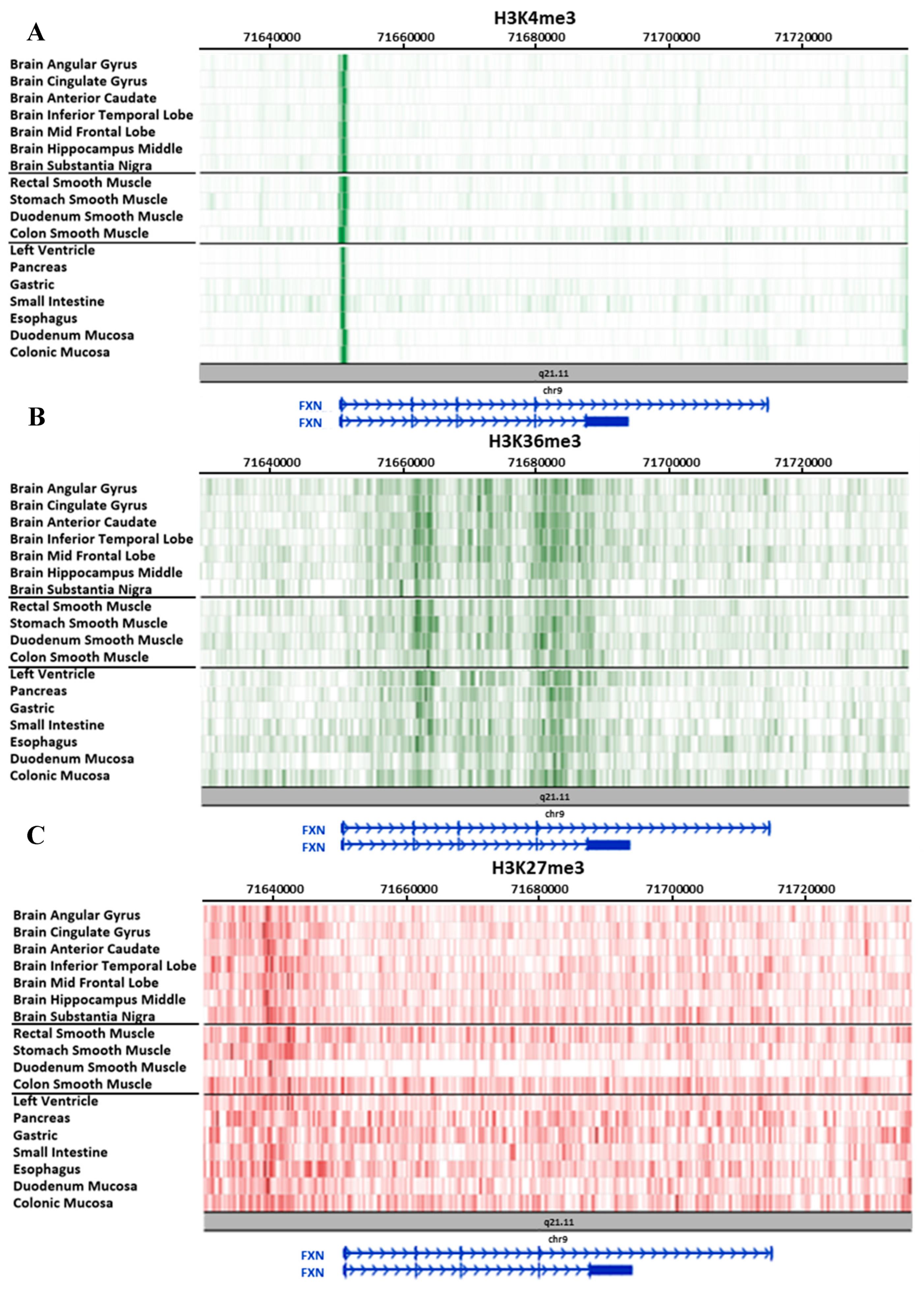 Ijms 21 03410 g003 Ijms 21 03410 g003