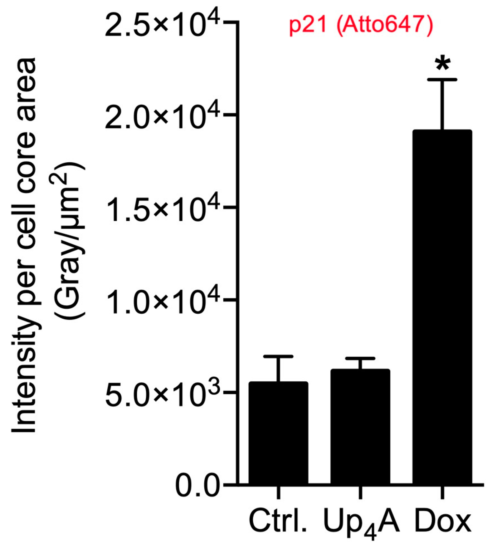 Ijms 21 03475 g004 Ijms 21 03475 g004