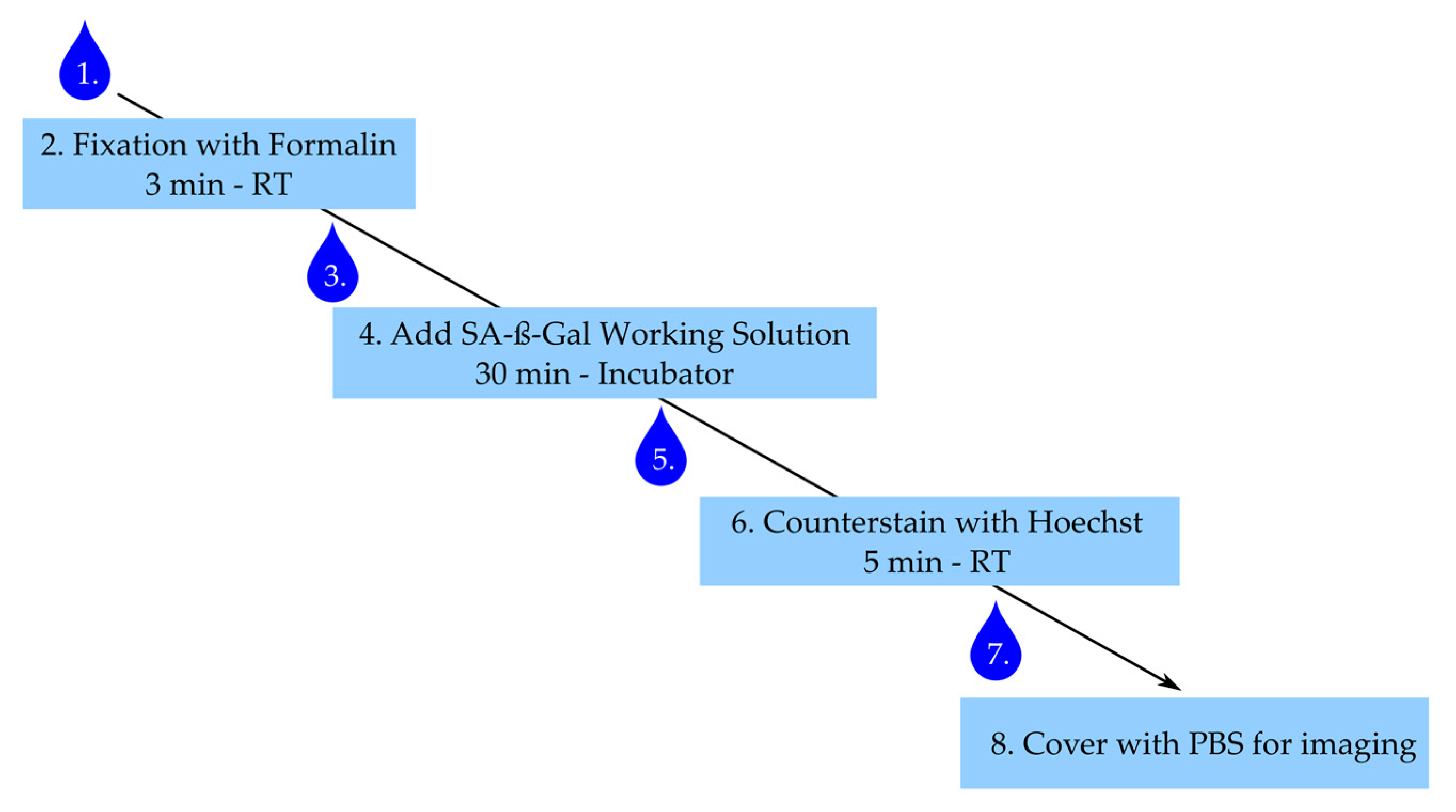Ijms 21 03475 g006 Ijms 21 03475 g006