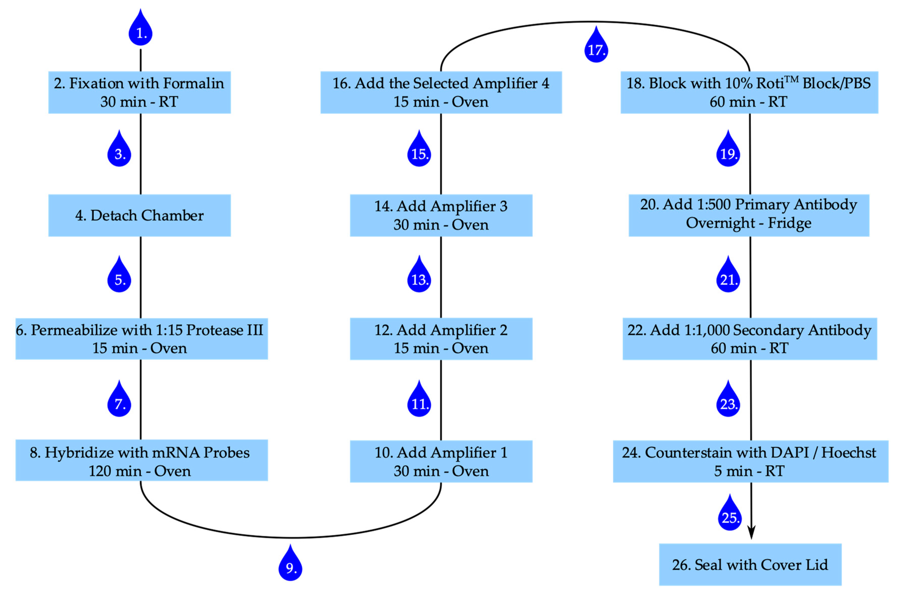 Ijms 21 03475 g007 Ijms 21 03475 g007