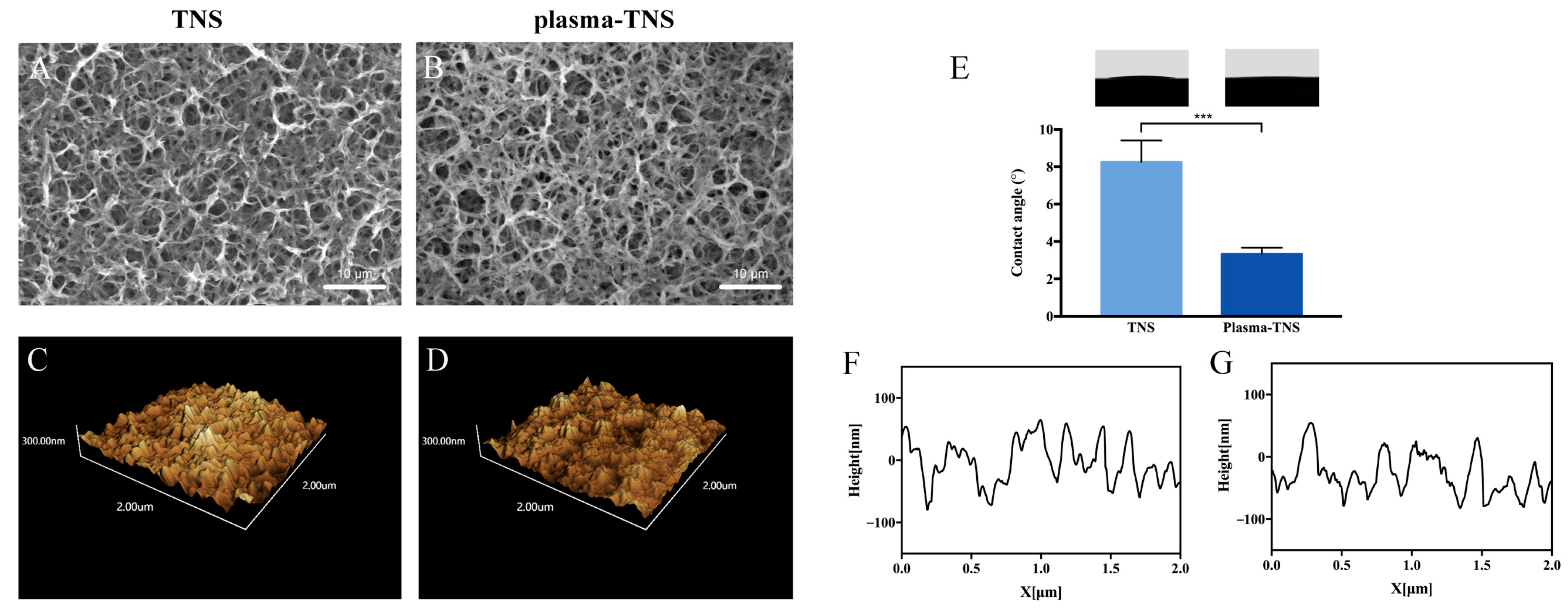 IJMS | Free Full-Text | Enhanced Osseointegration and Bio