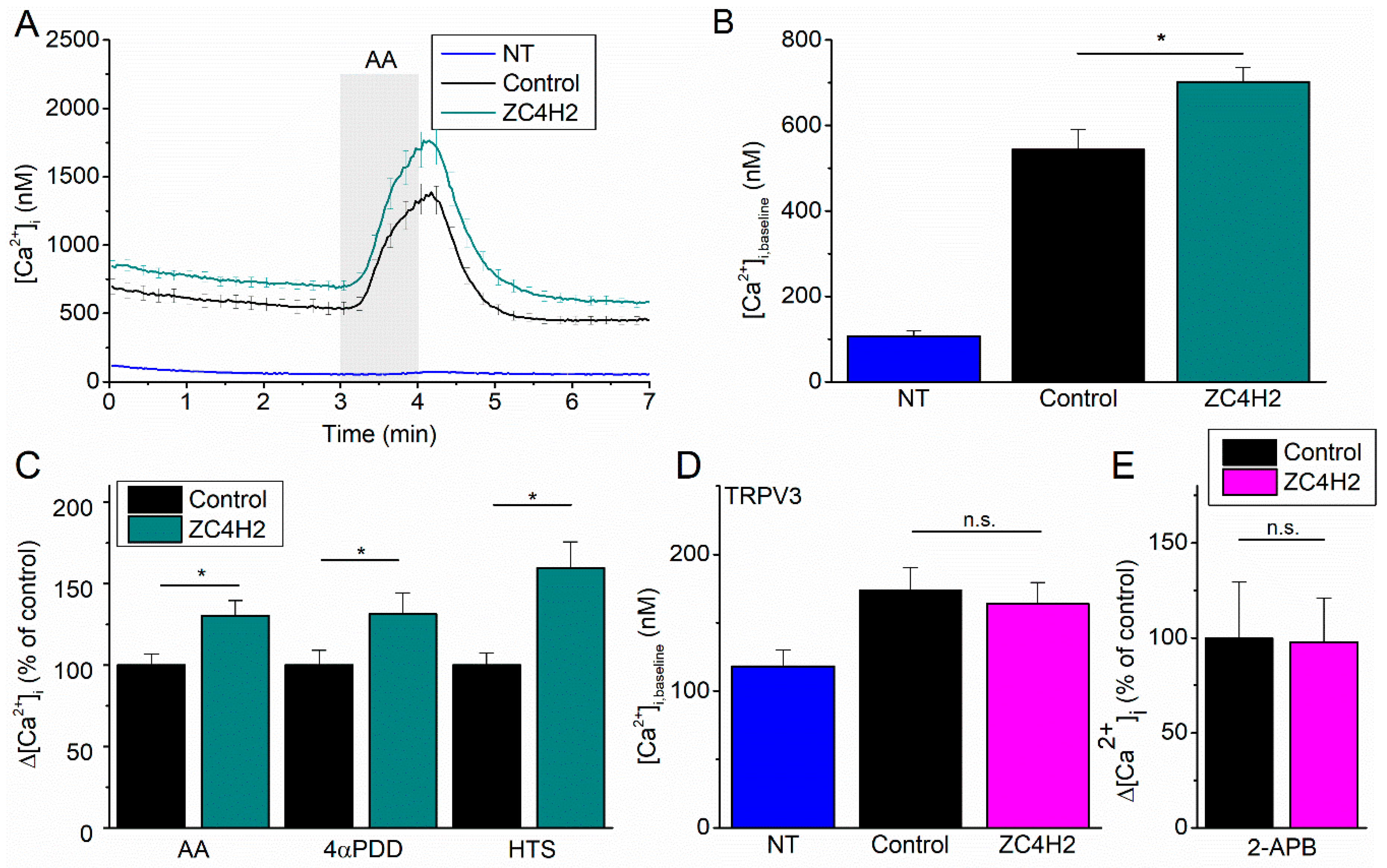 Ijms 21 03556 g002 Ijms 21 03556 g002