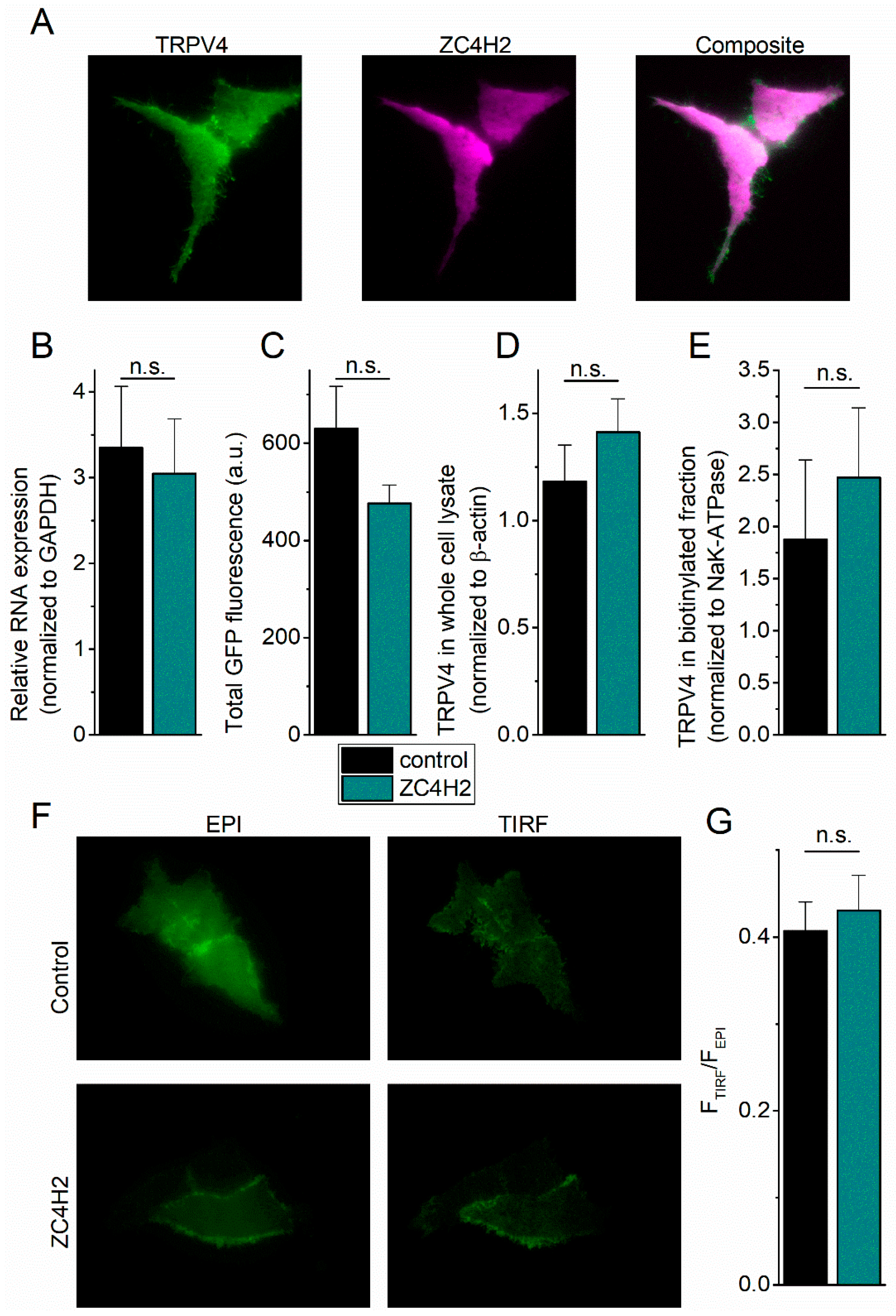 Ijms 21 03556 g003 Ijms 21 03556 g003