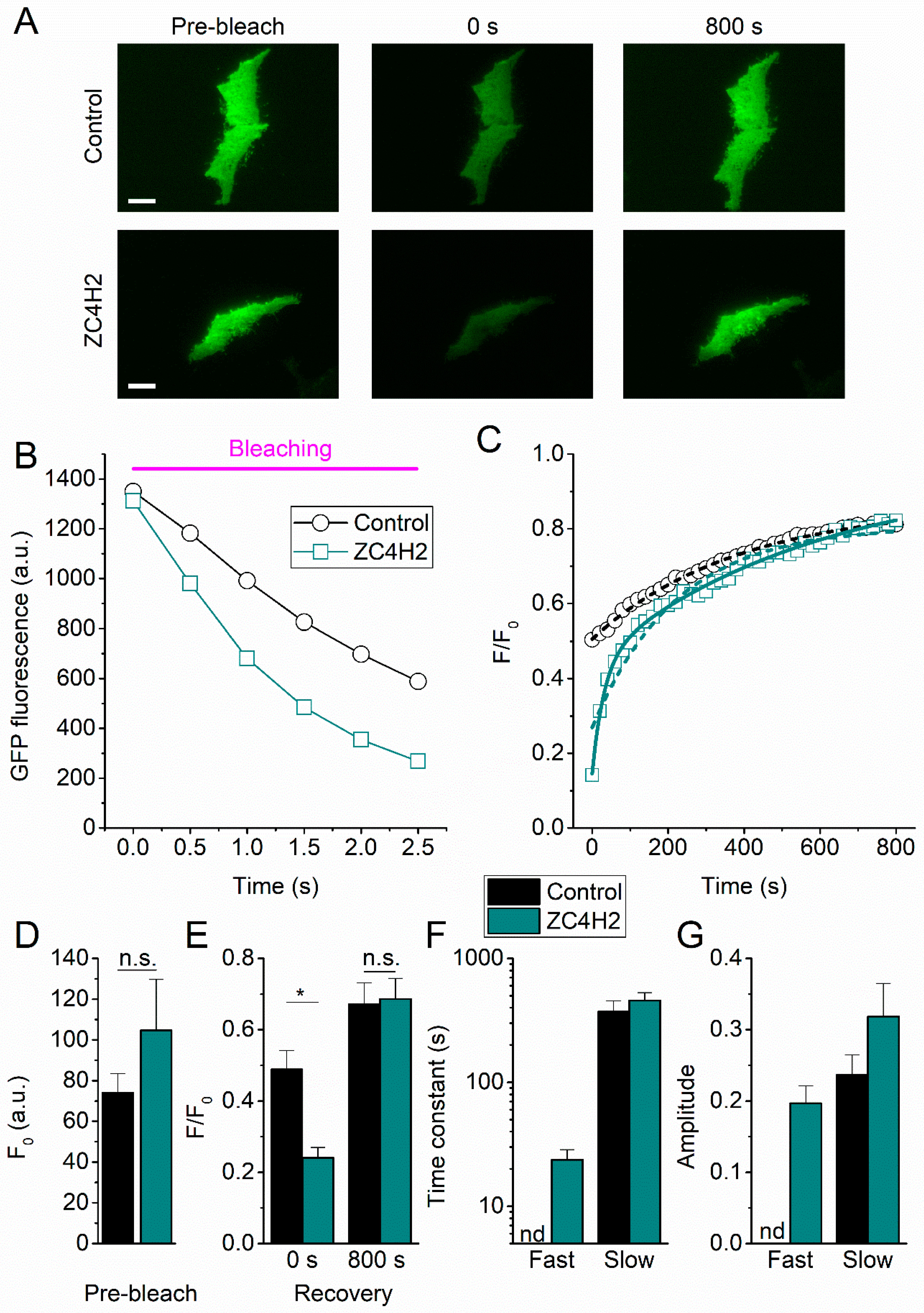 Ijms 21 03556 g004 Ijms 21 03556 g004