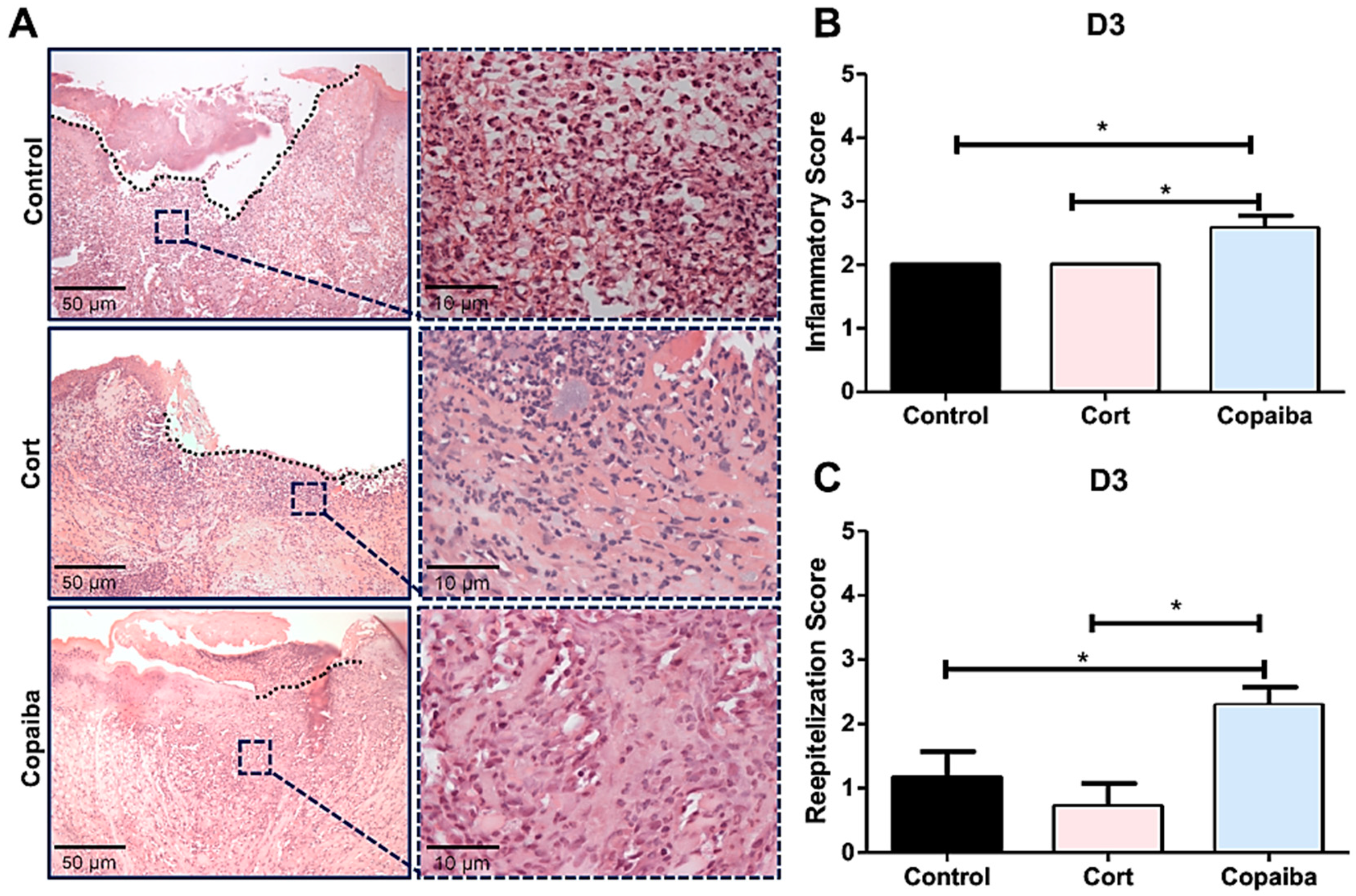 Ijms 21 03568 g002 Ijms 21 03568 g002