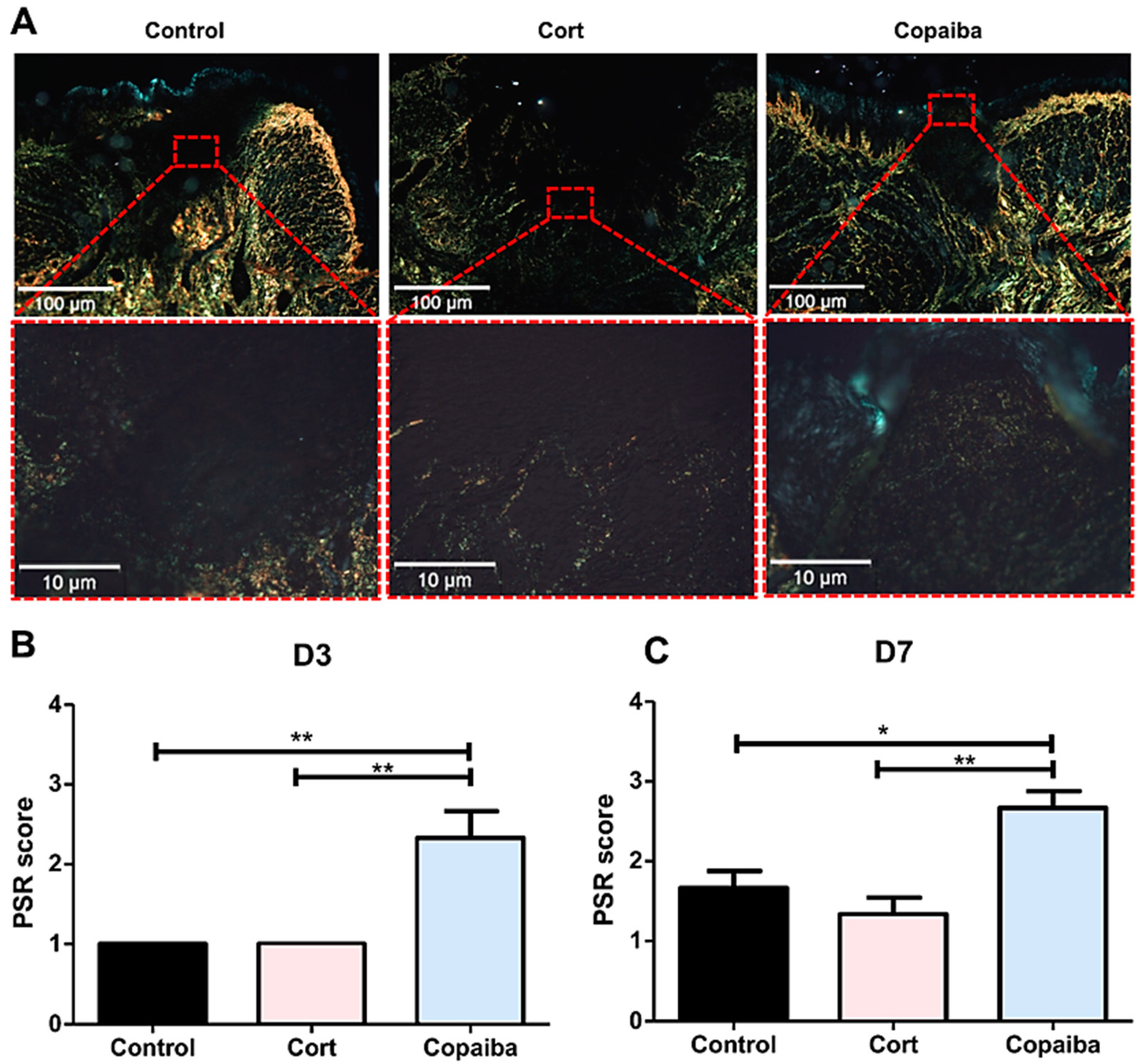 Ijms 21 03568 g004 Ijms 21 03568 g004