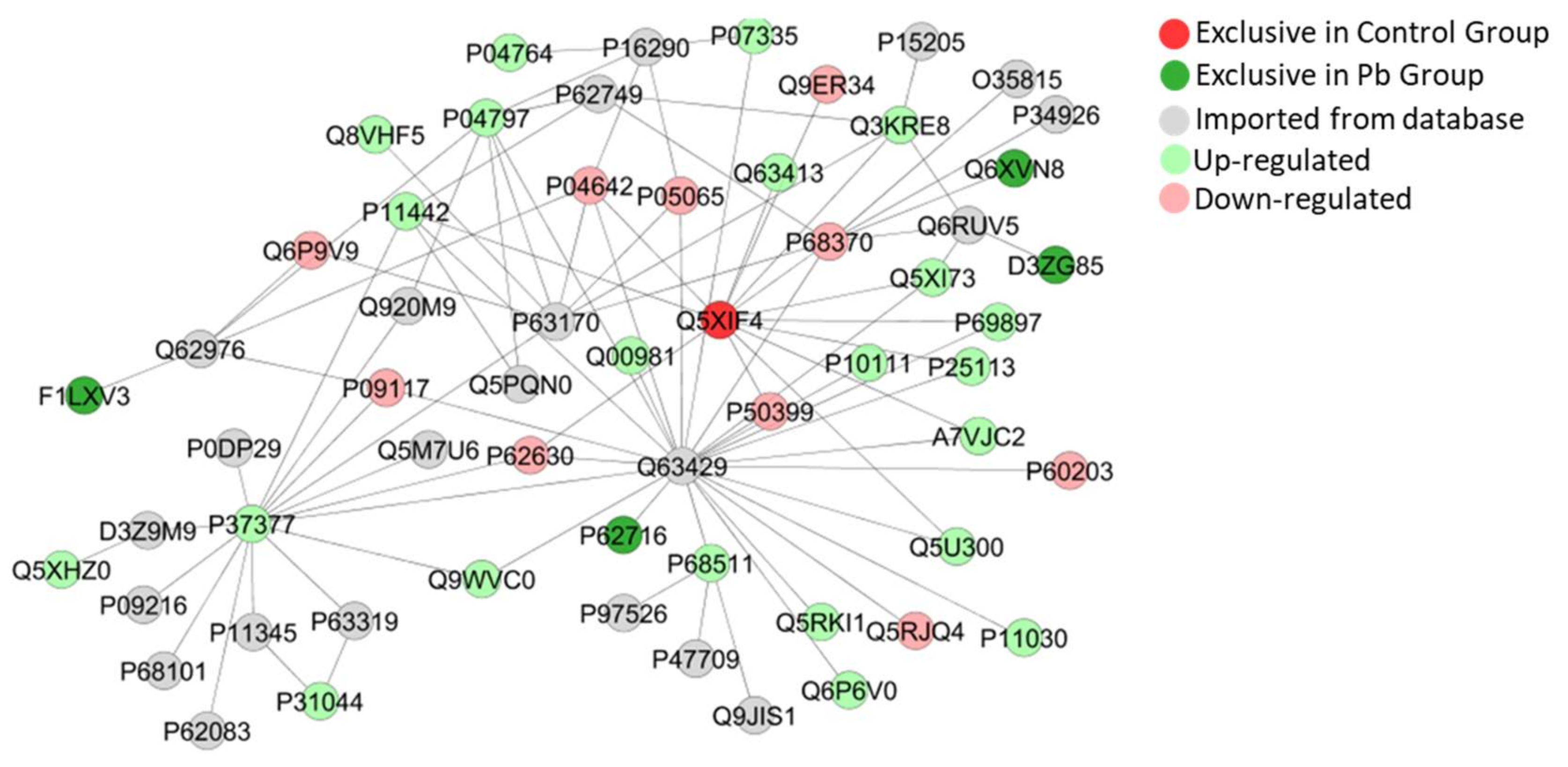 Ijms 21 03571 g011 Ijms 21 03571 g011