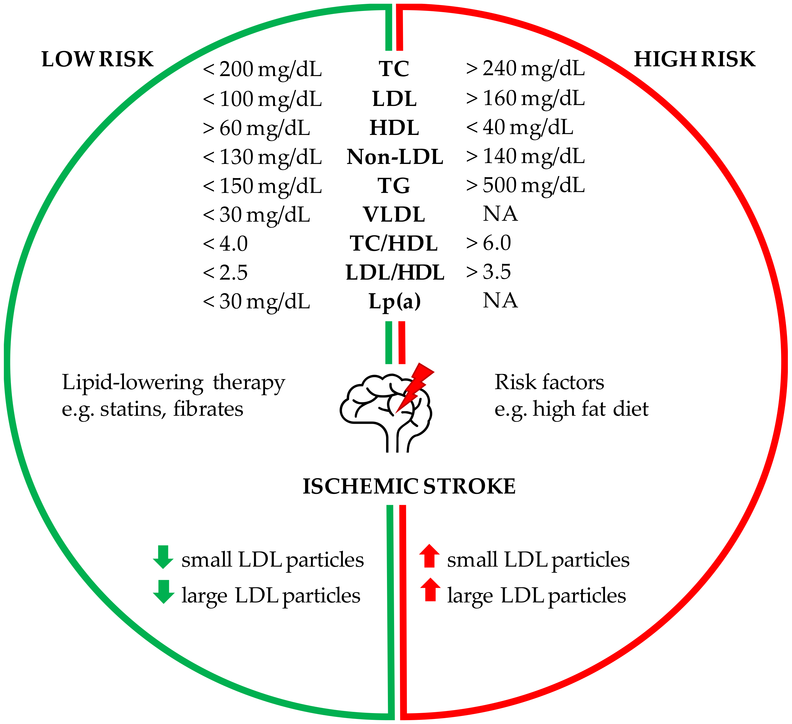 IJMS | Free Full-Text | Lipids and Lipid Mediators Associated with the Risk  and Pathology of Ischemic Stroke | HTML