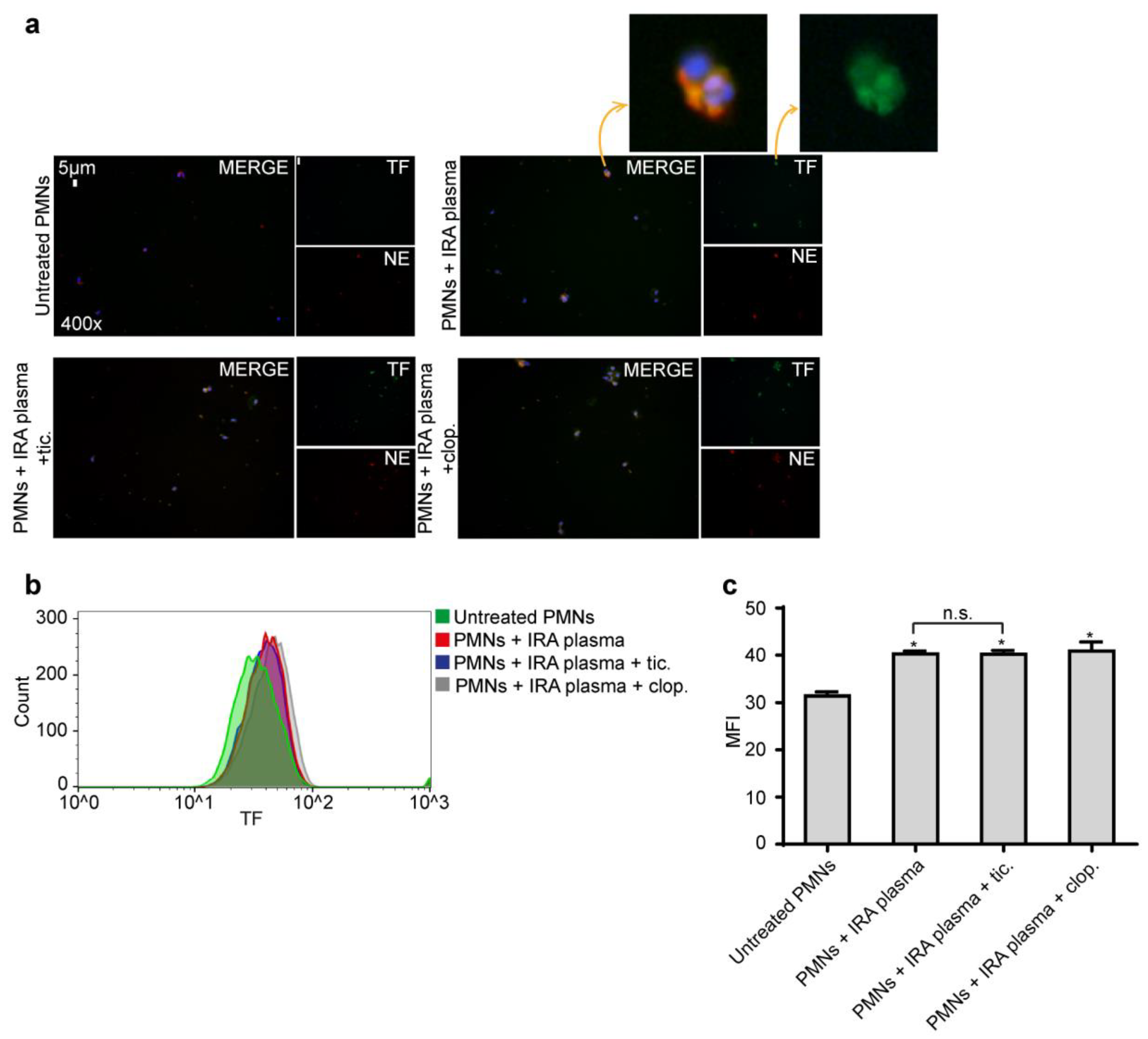 Ijms 21 03625 g005 Ijms 21 03625 g005
