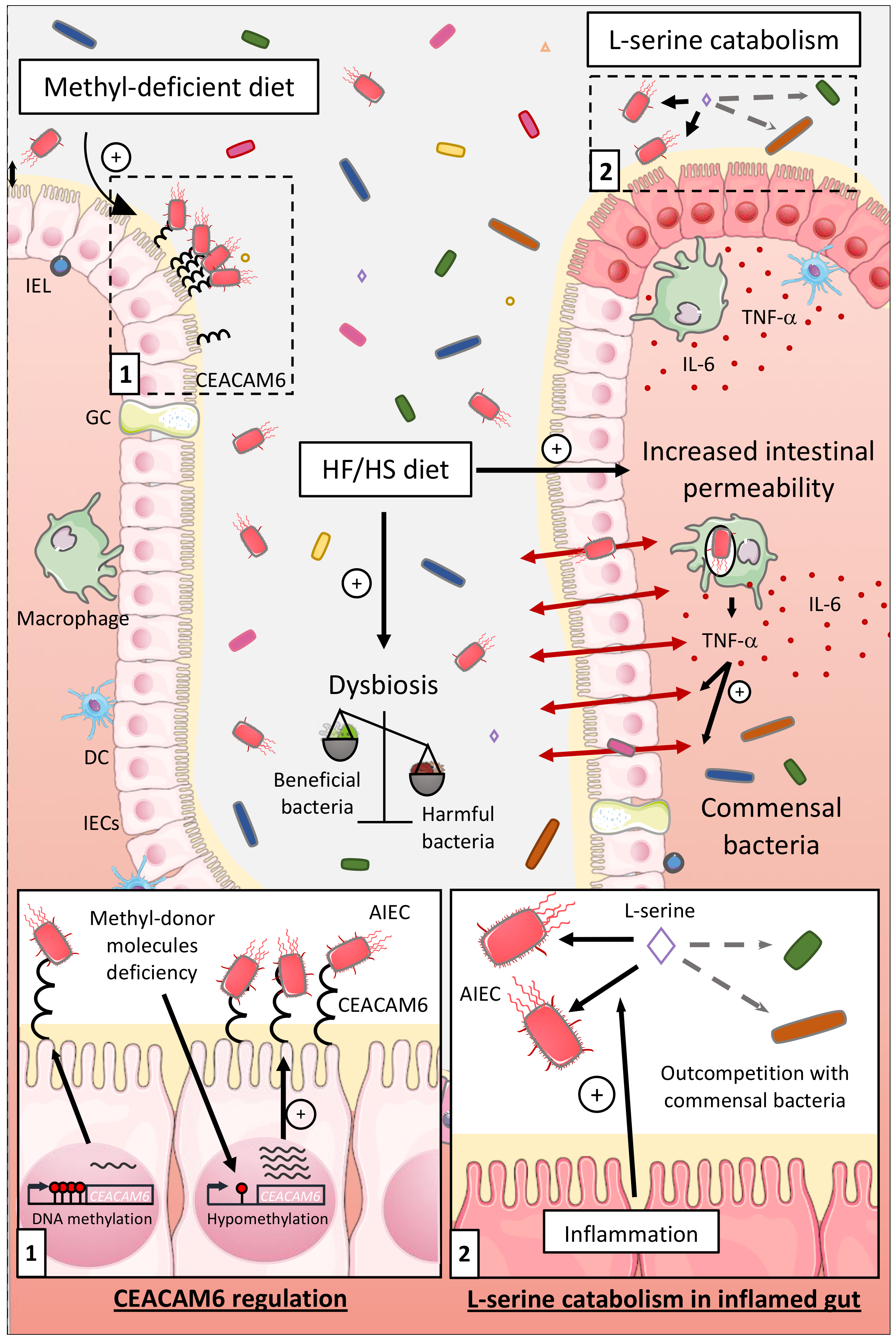 Ijms 21 03734 g002 Ijms 21 03734 g002