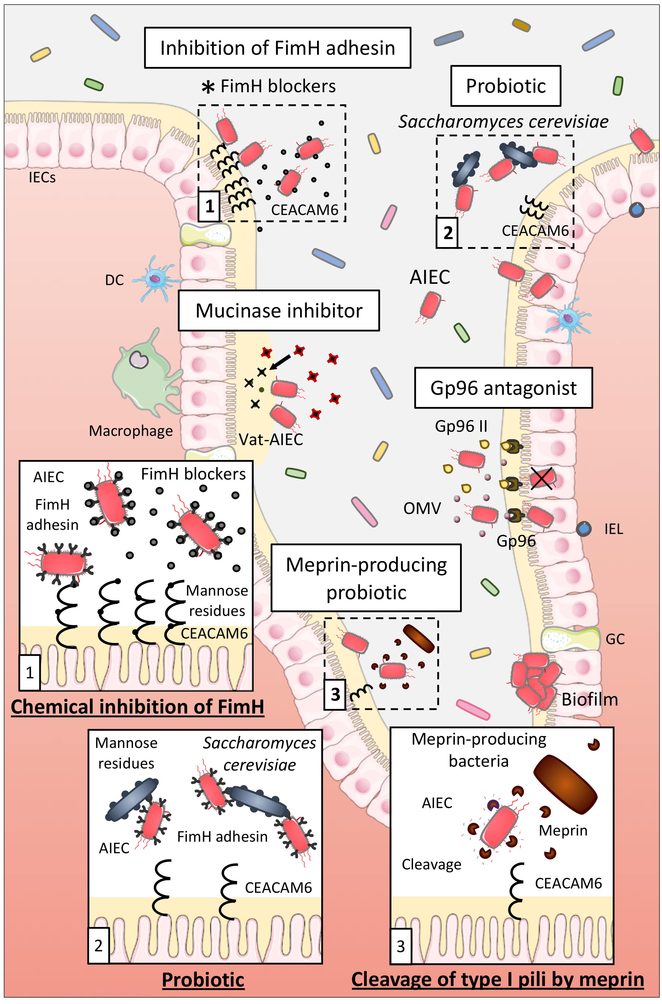 Ijms 21 03734 g003 Ijms 21 03734 g003