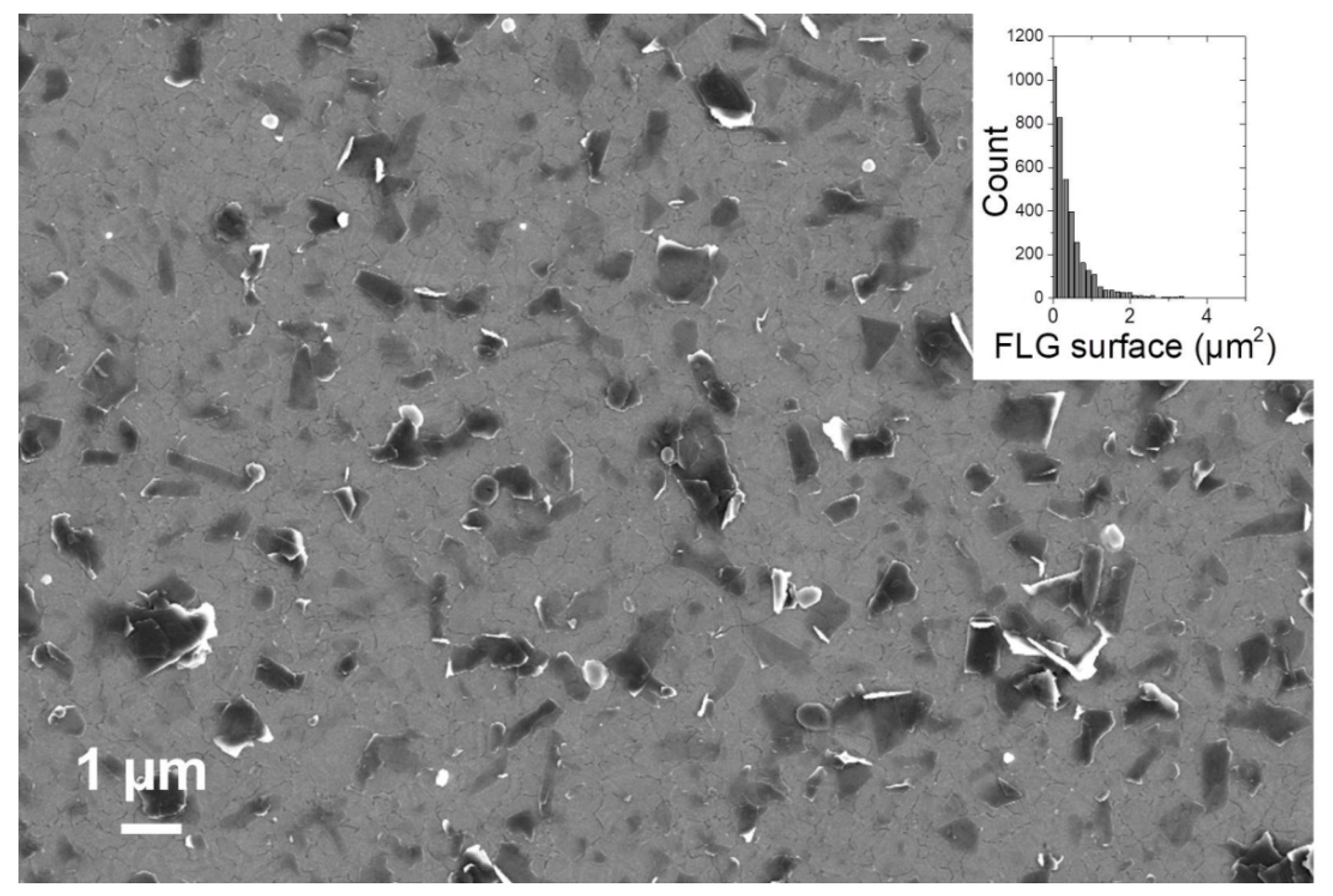 Ijms 21 03741 g003 Ijms 21 03741 g003