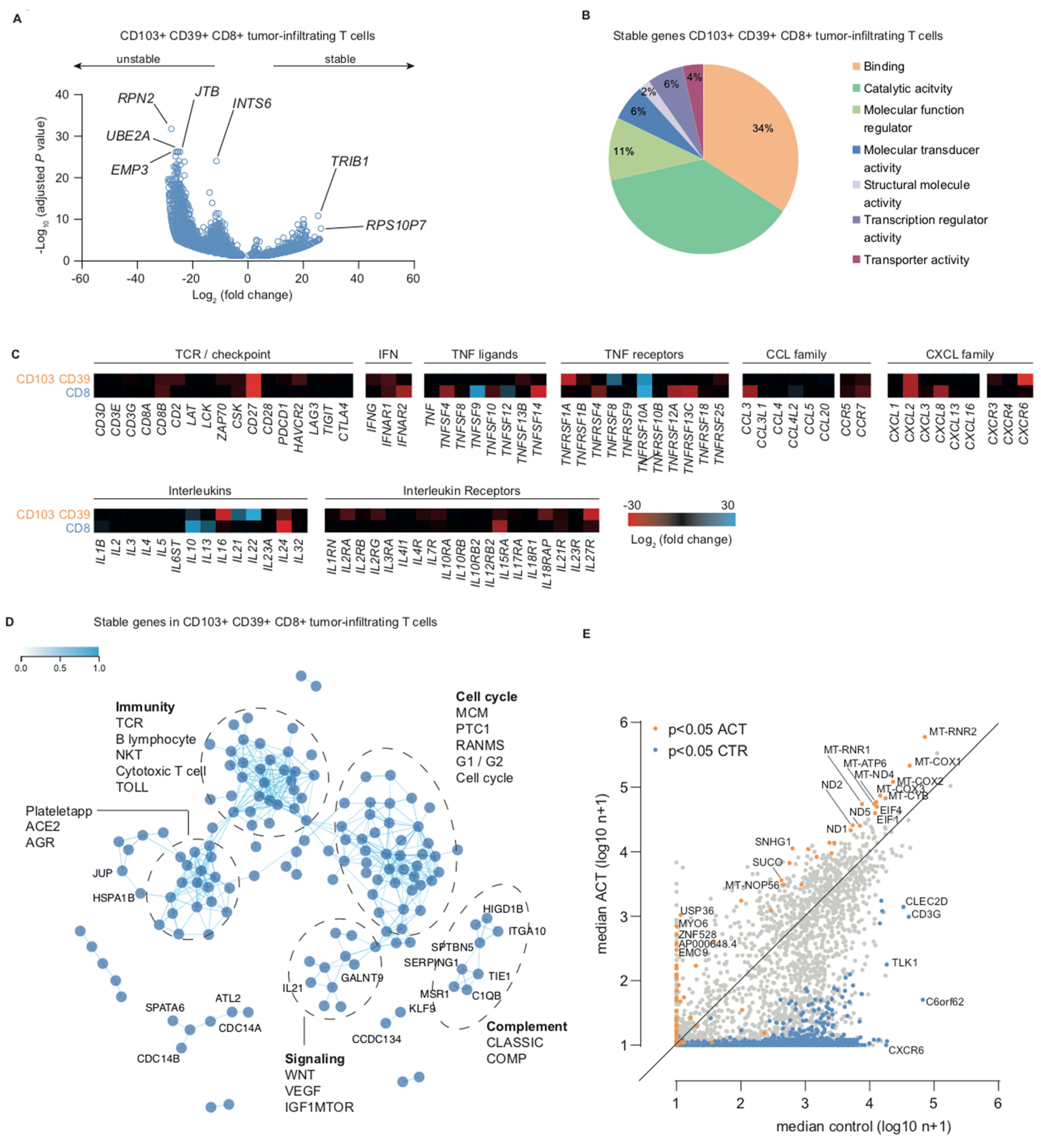 Ijms 21 03770 g002 Ijms 21 03770 g002