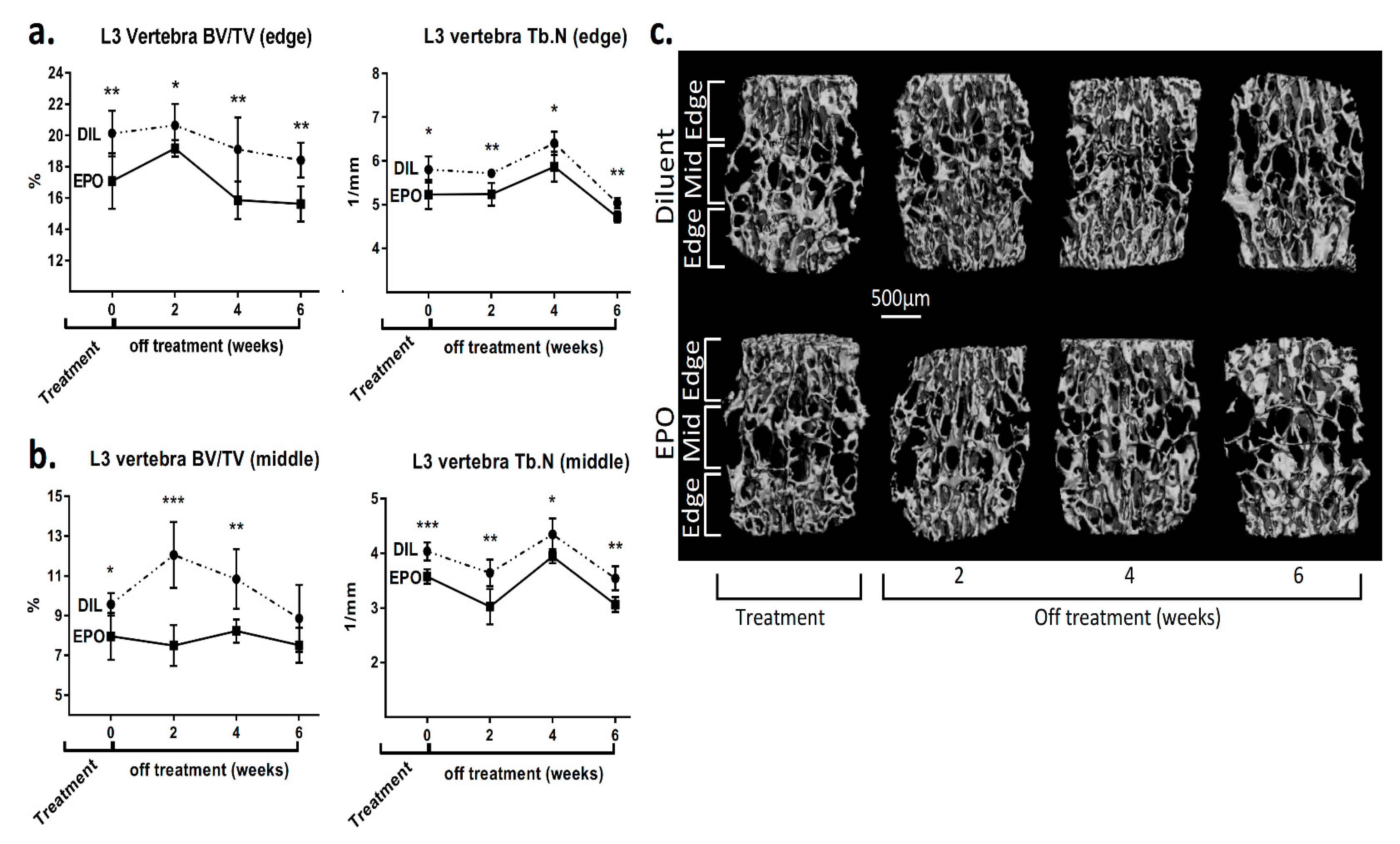 Ijms 21 03817 g005 Ijms 21 03817 g005