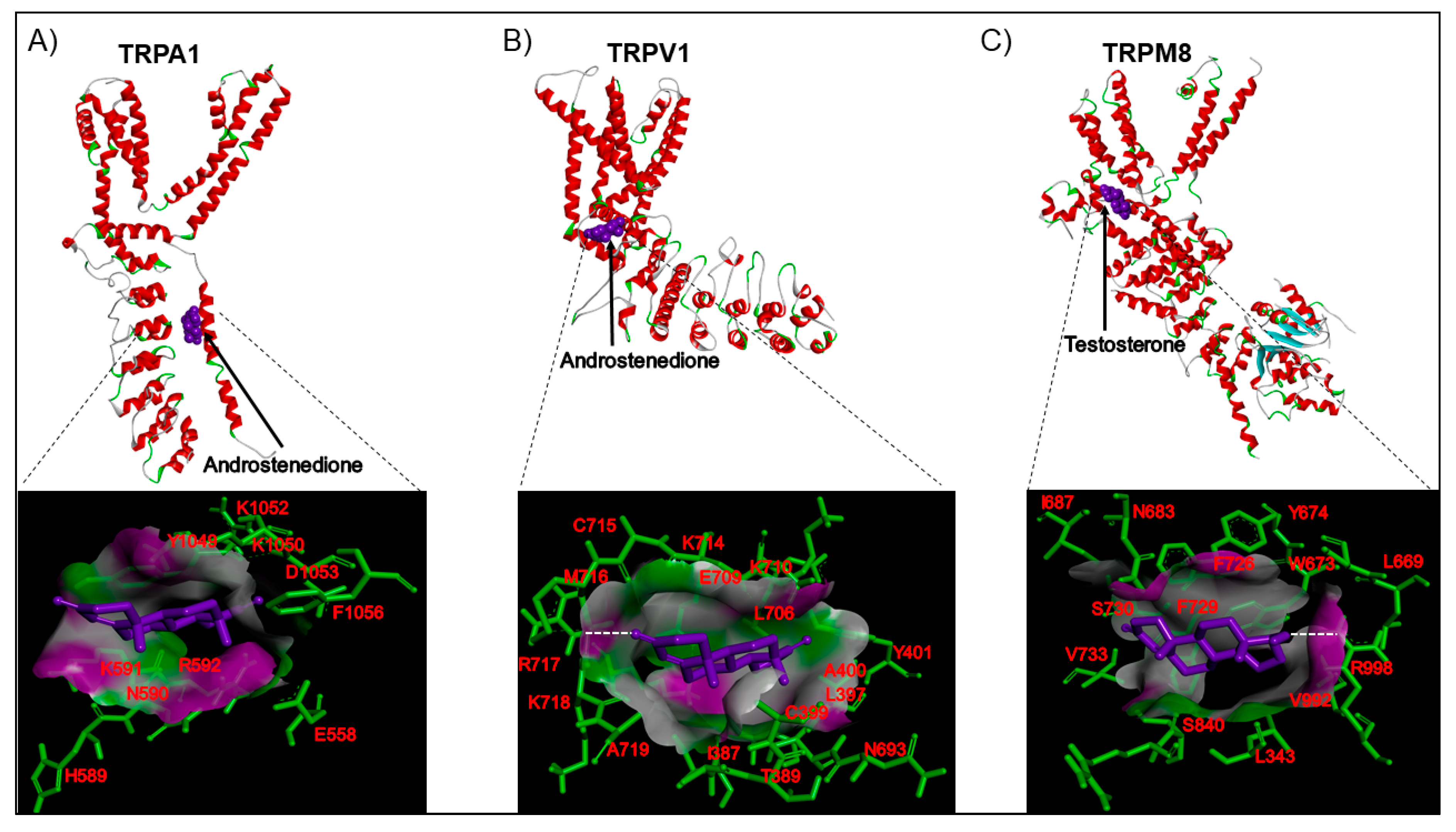 Ijms 21 03819 g008 Ijms 21 03819 g008