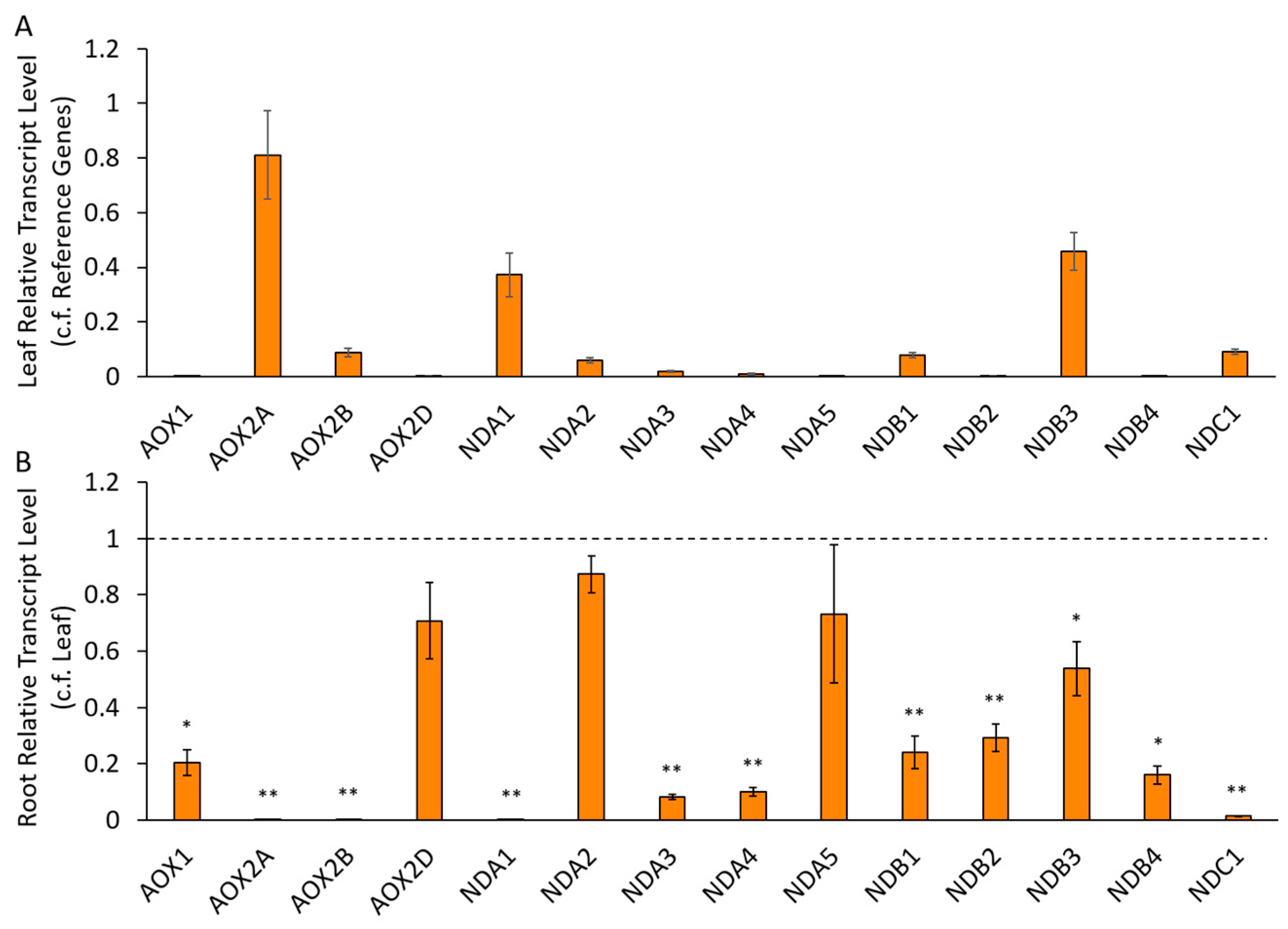 Ijms 21 03844 g002 Ijms 21 03844 g002