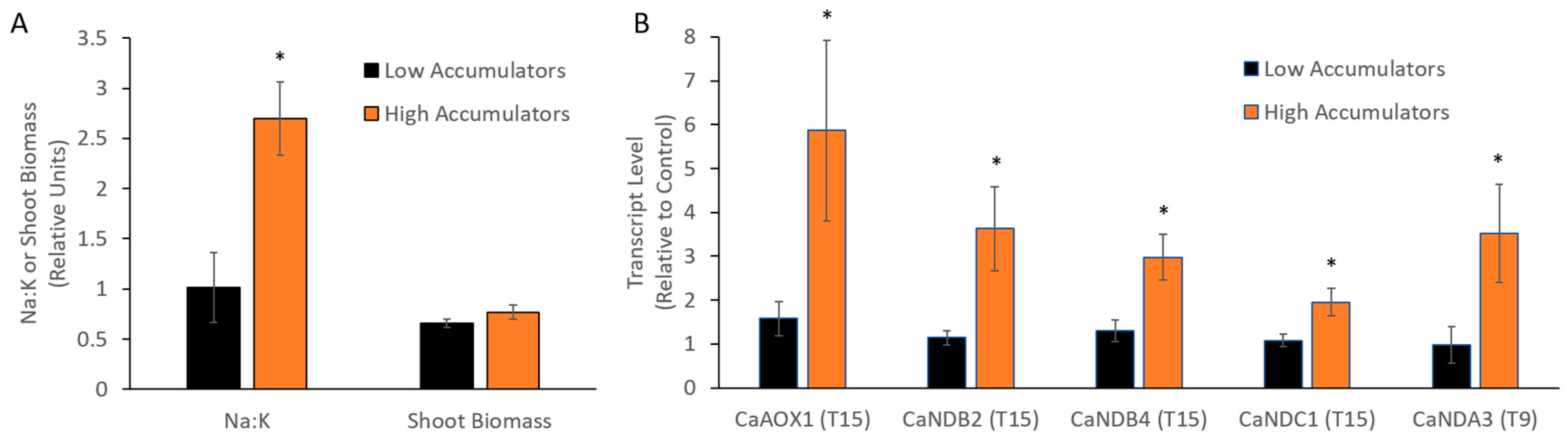 Ijms 21 03844 g004 Ijms 21 03844 g004