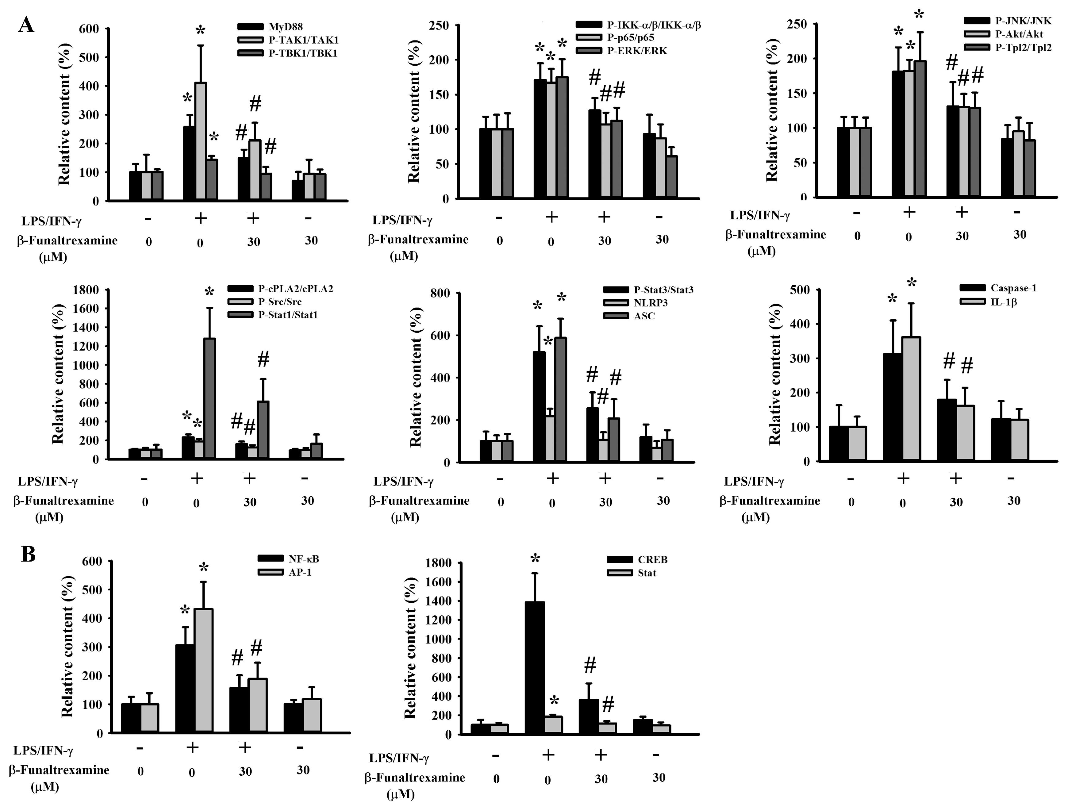 Ijms 21 03866 g005 Ijms 21 03866 g005