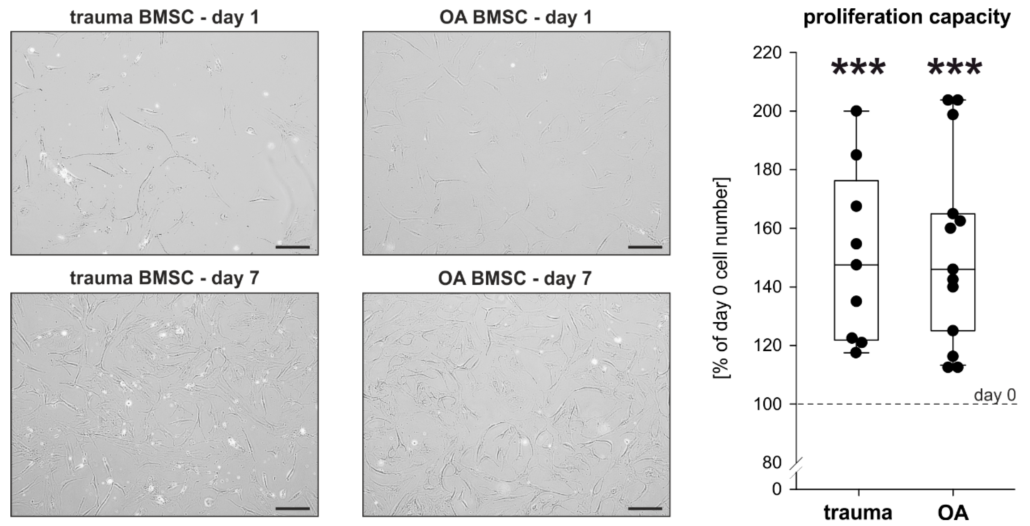 Ijms 21 03924 g002 Ijms 21 03924 g002