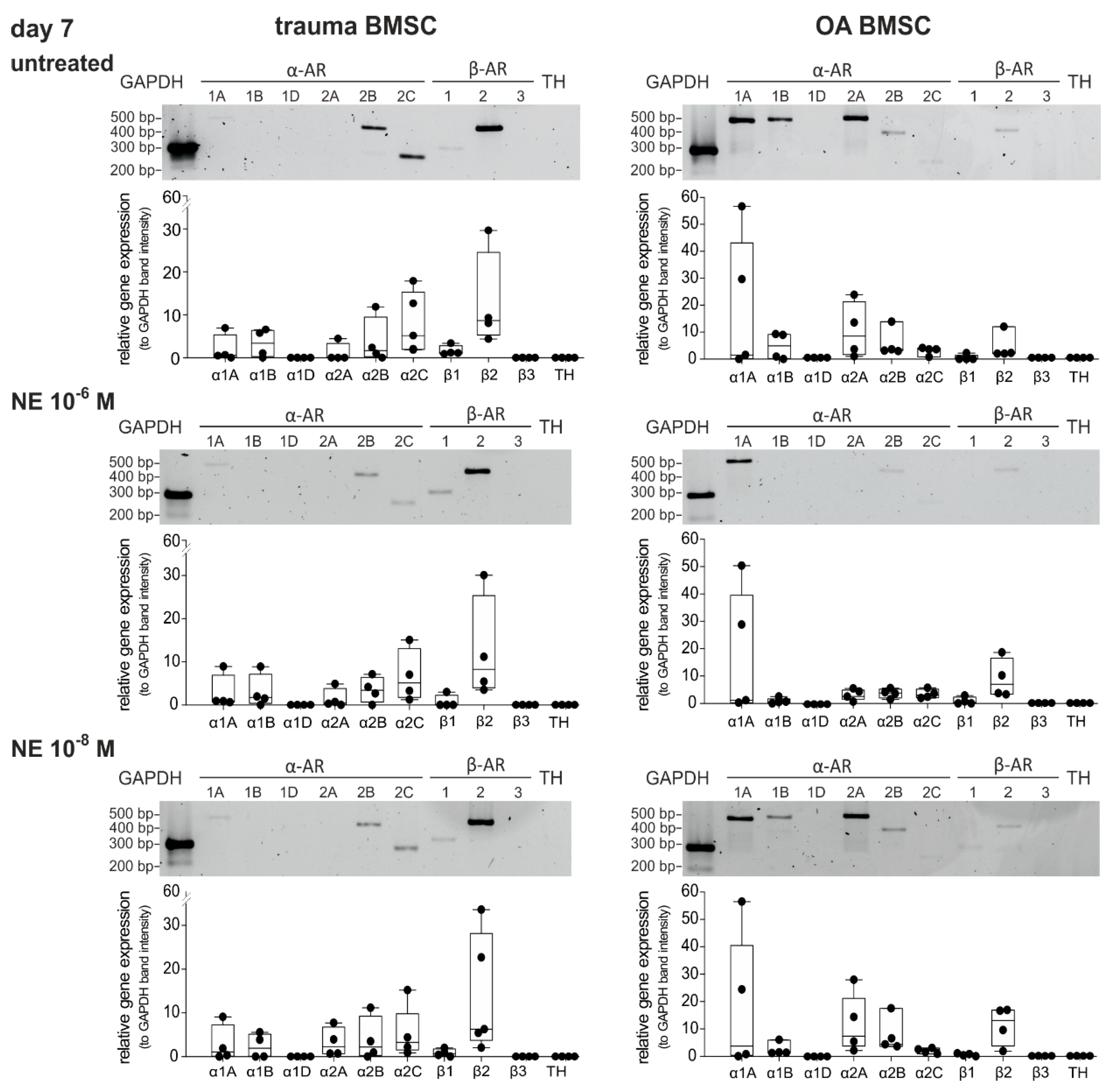 Ijms 21 03924 g004 Ijms 21 03924 g004