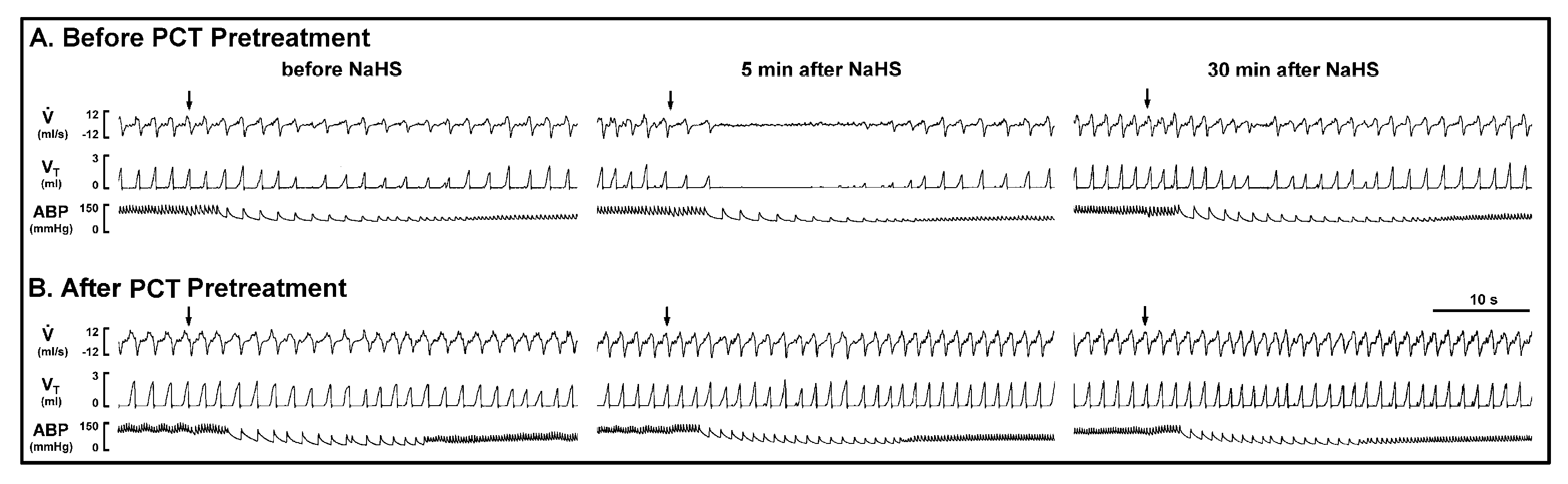 Ijms 21 03929 g003 Ijms 21 03929 g003