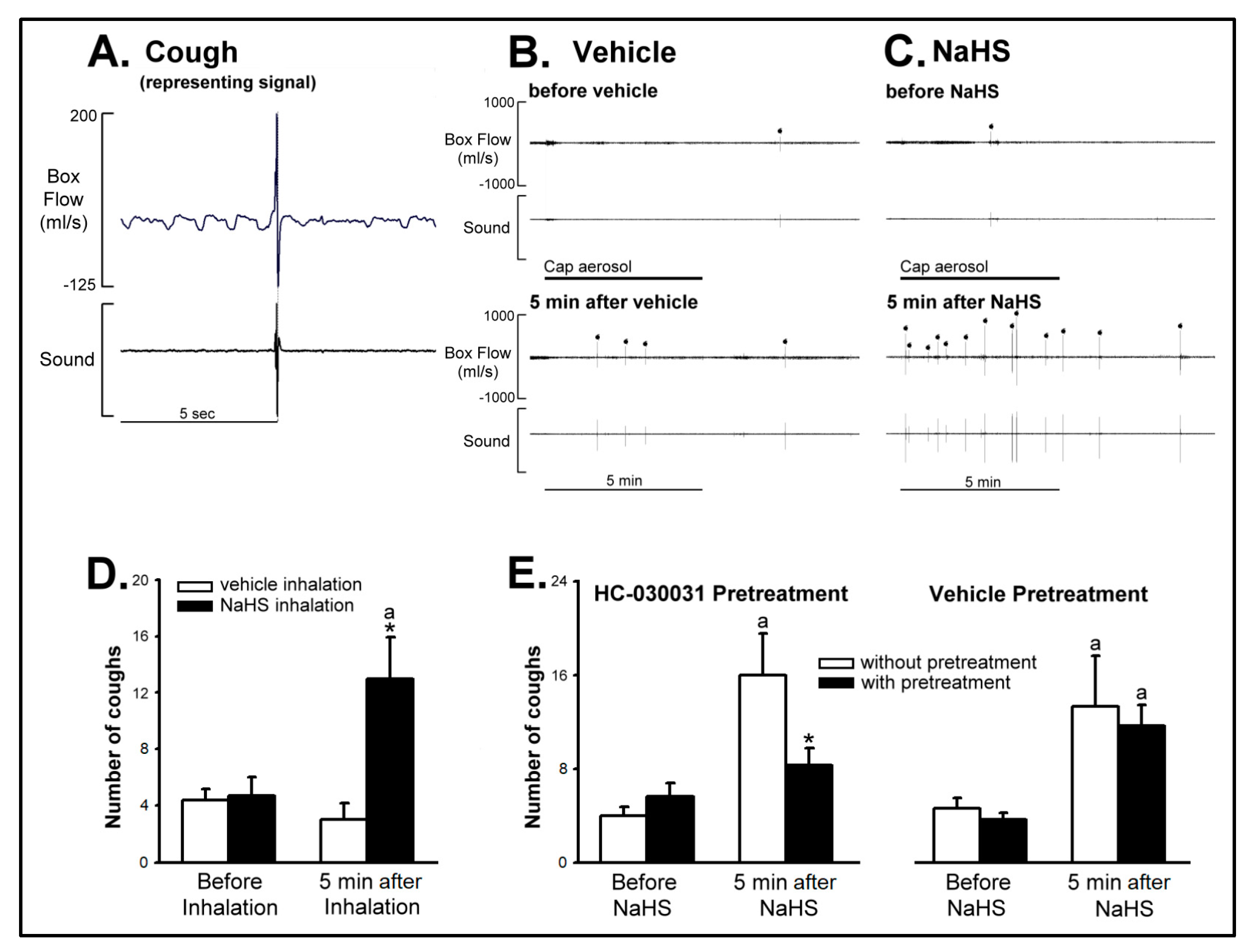 Ijms 21 03929 g006 Ijms 21 03929 g006