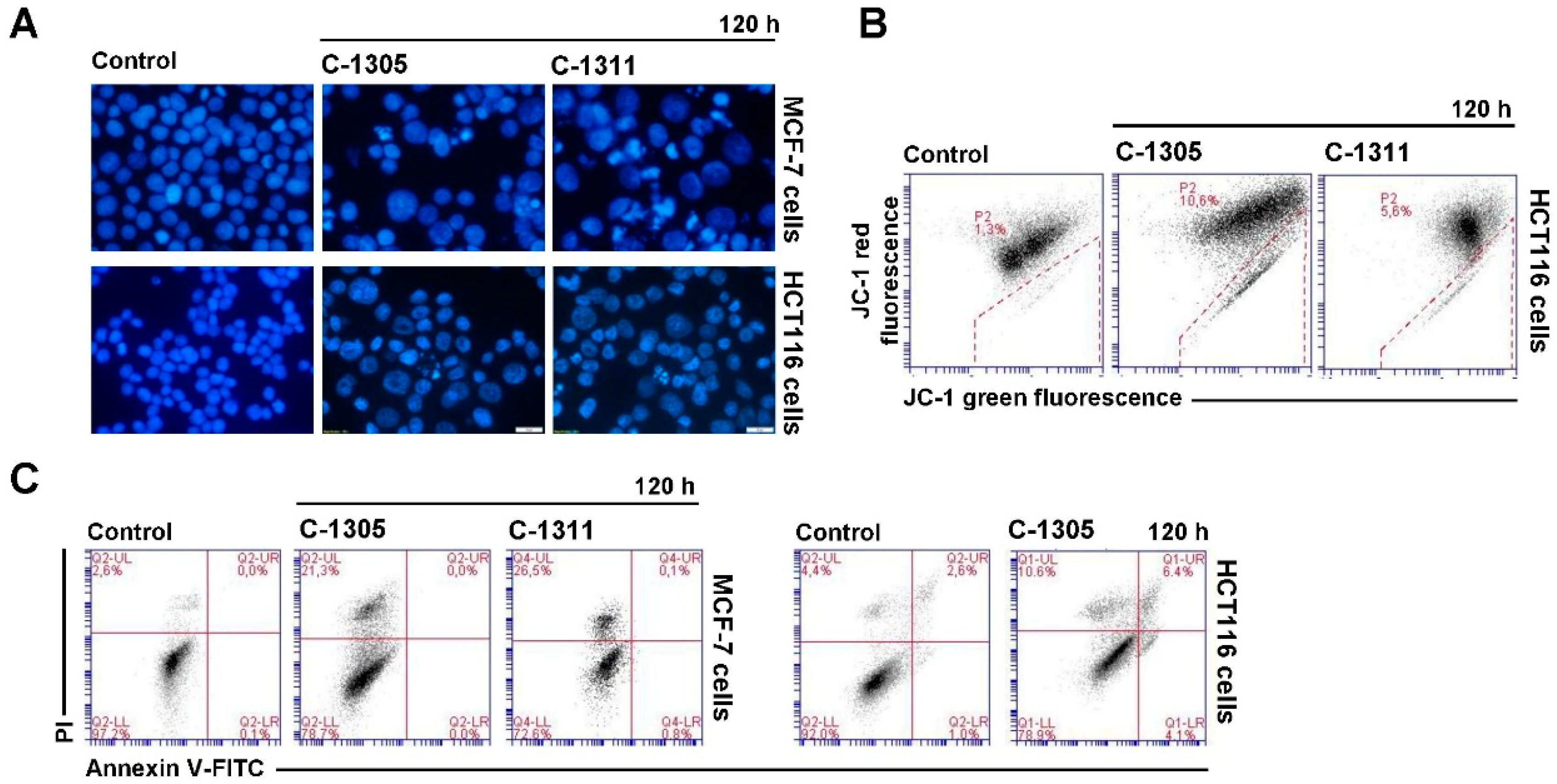 Ijms 21 03954 g006 Ijms 21 03954 g006
