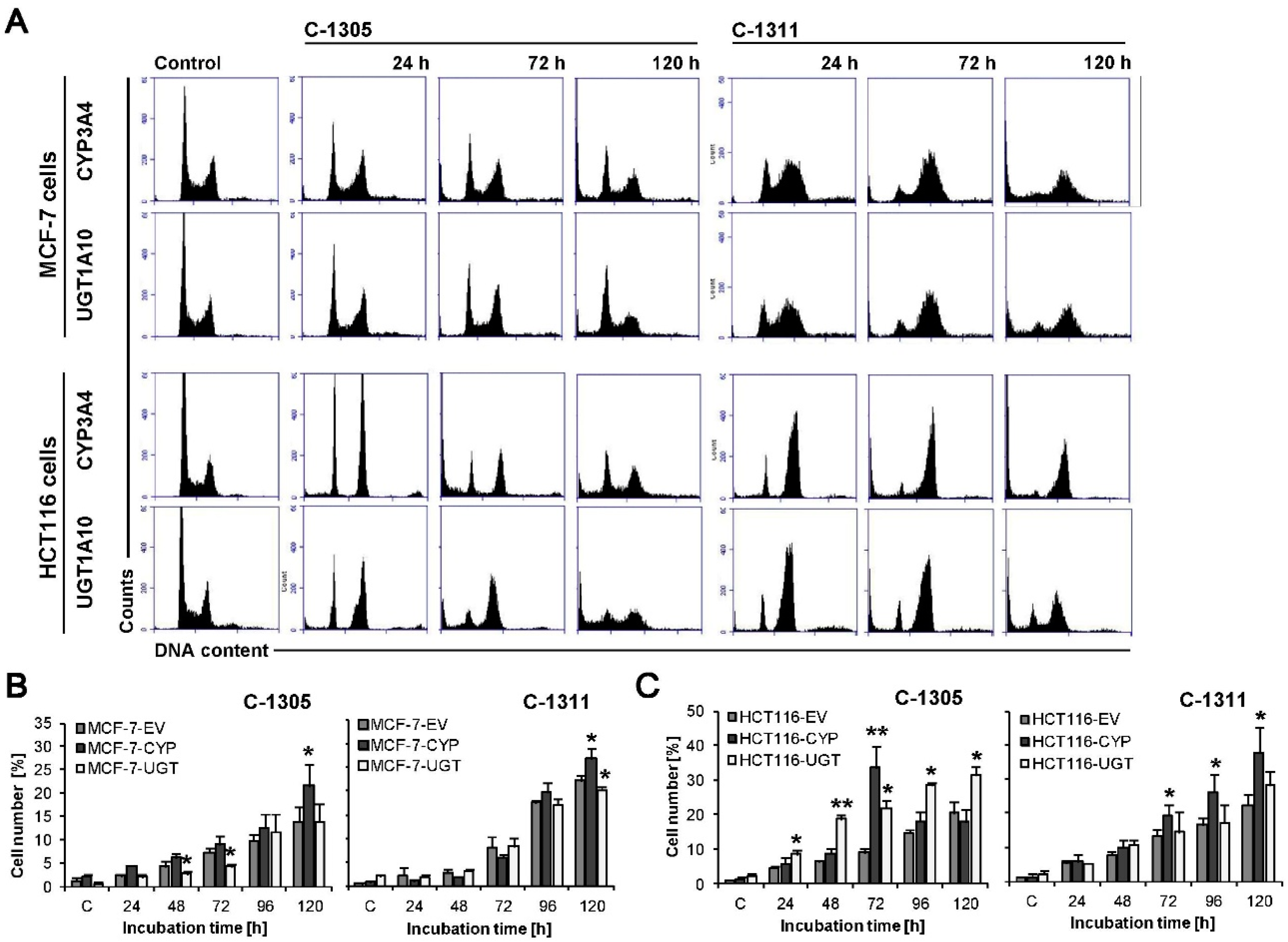 Ijms 21 03954 g007 Ijms 21 03954 g007