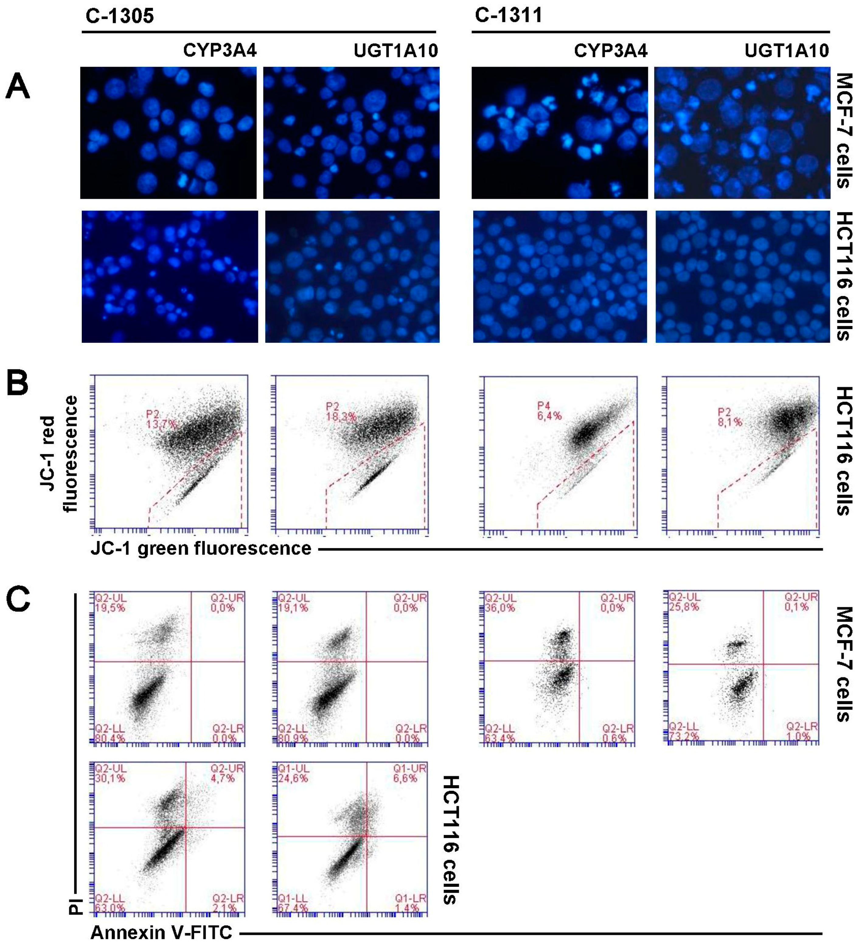 Ijms 21 03954 g008 Ijms 21 03954 g008