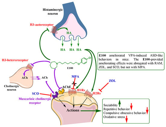 Ijms Free Full Text The Dual Active Histamine H3 Receptor Antagonist And Acetylcholine 1609