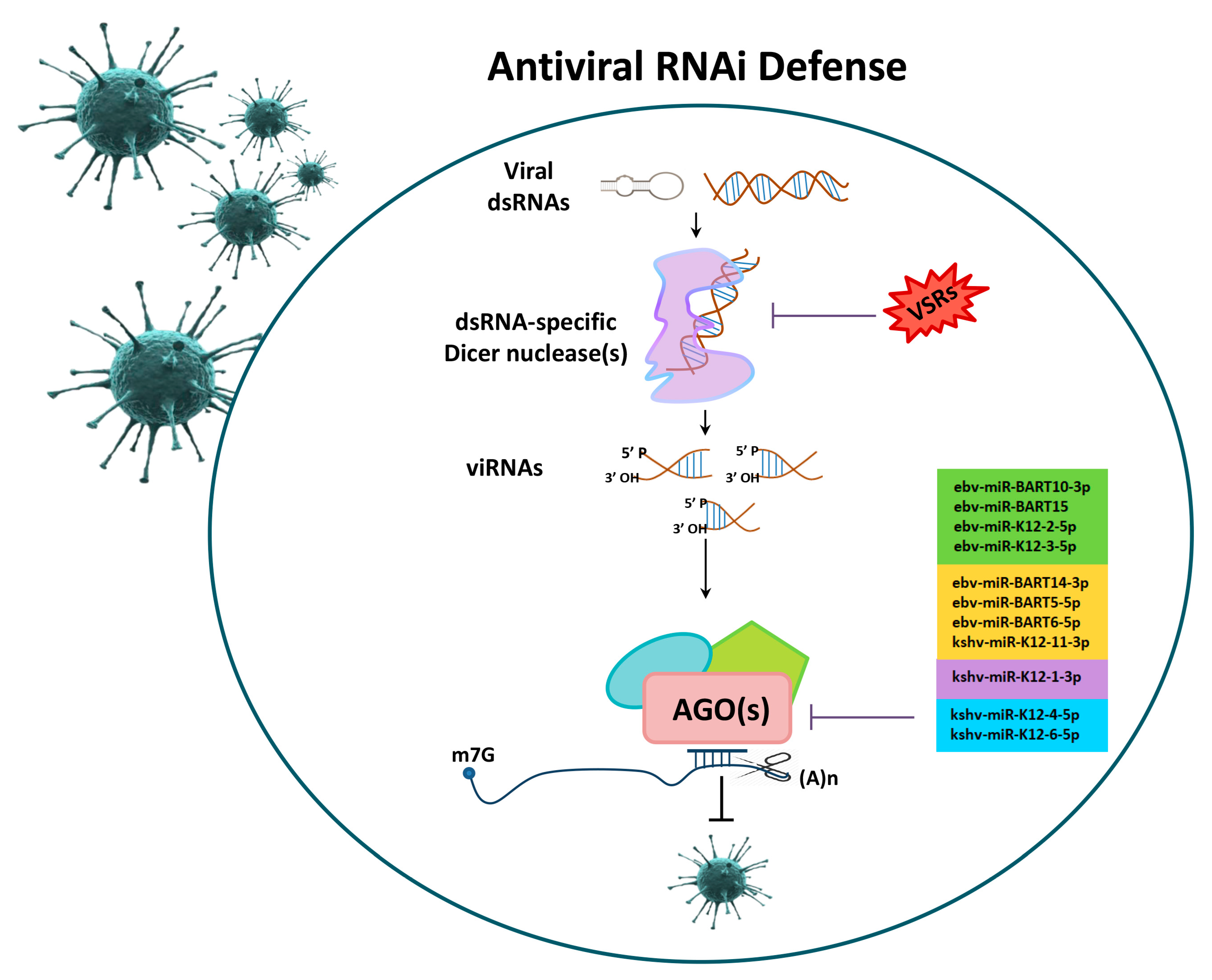 Ijms 21 04007 g002 Ijms 21 04007 g002