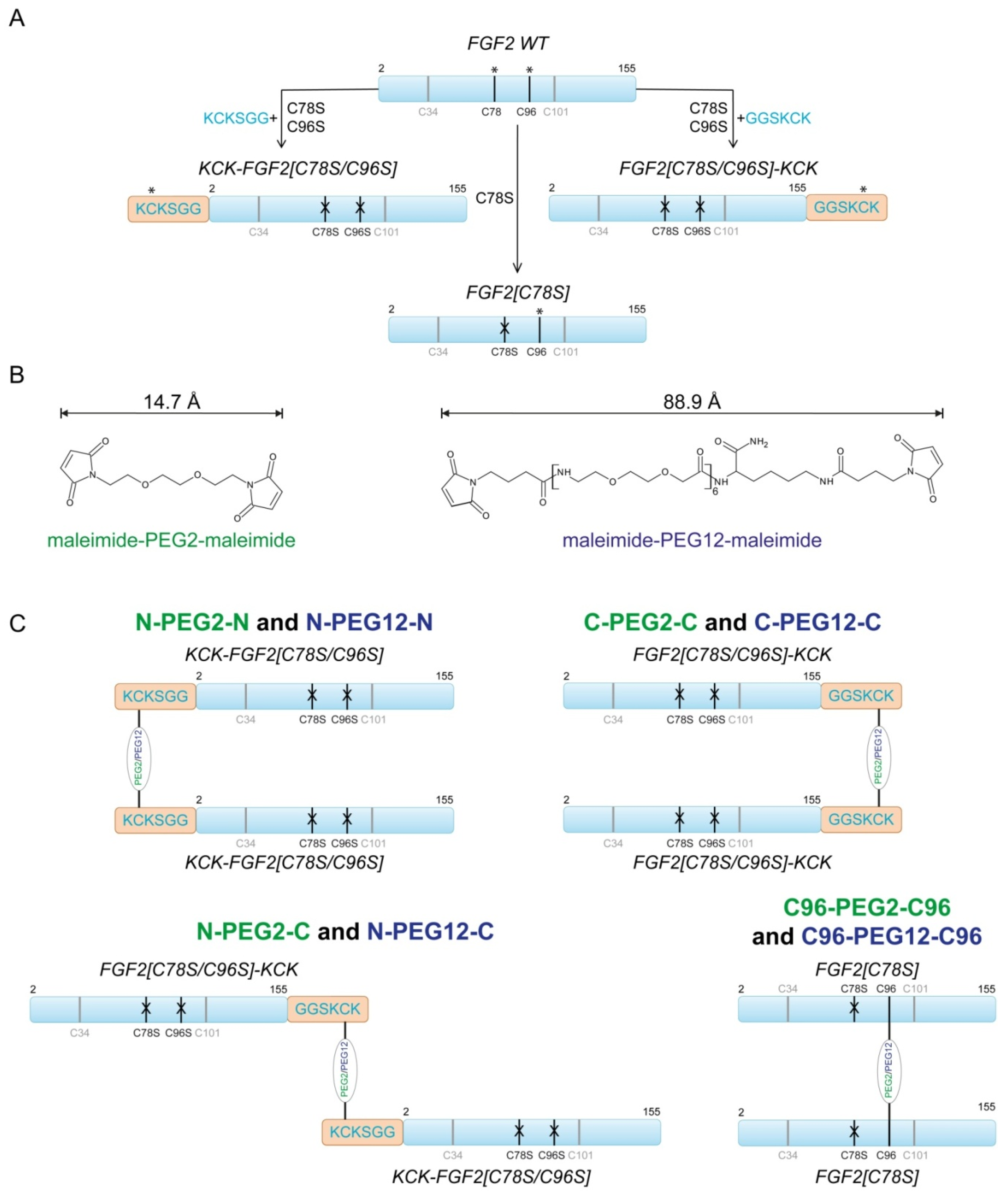 Ijms 21 04108 g001 Ijms 21 04108 g001