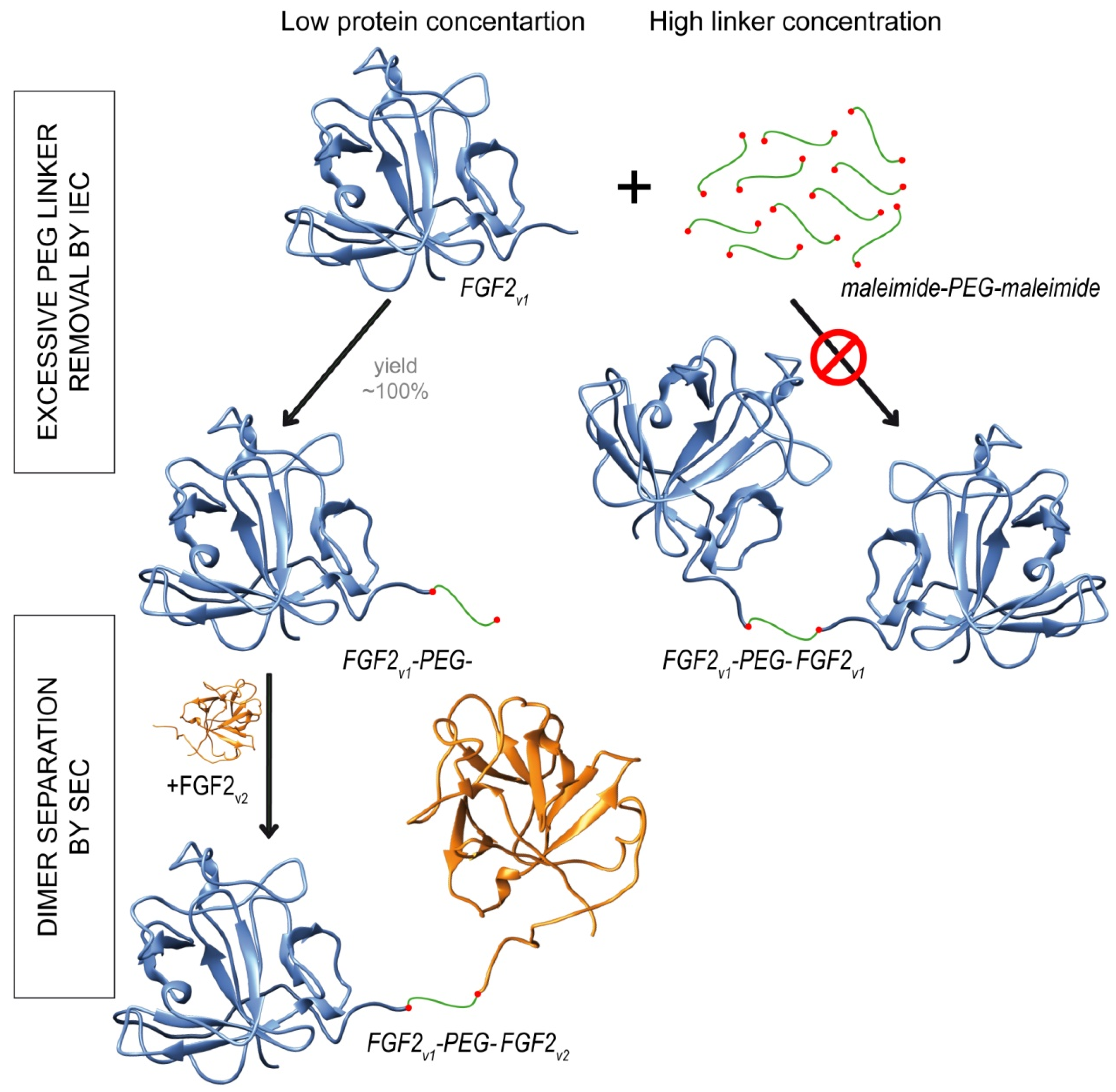 Ijms 21 04108 g002 Ijms 21 04108 g002