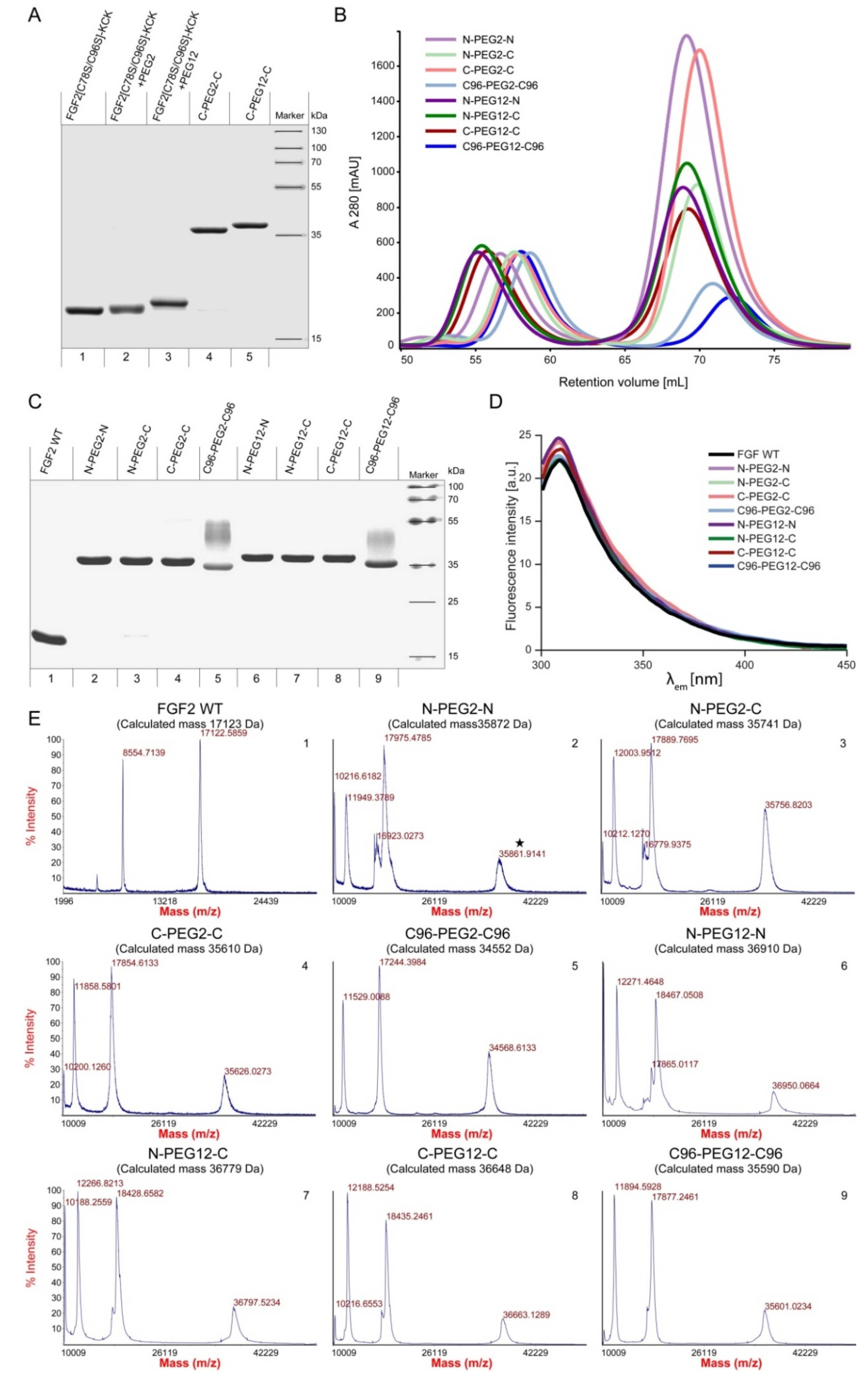 Ijms 21 04108 g003 Ijms 21 04108 g003