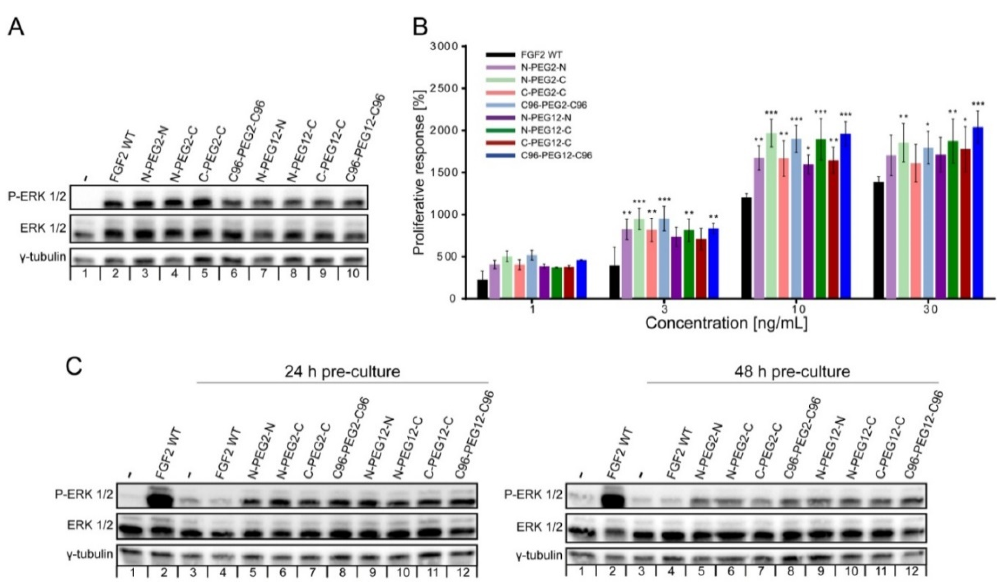 Ijms 21 04108 g004 Ijms 21 04108 g004