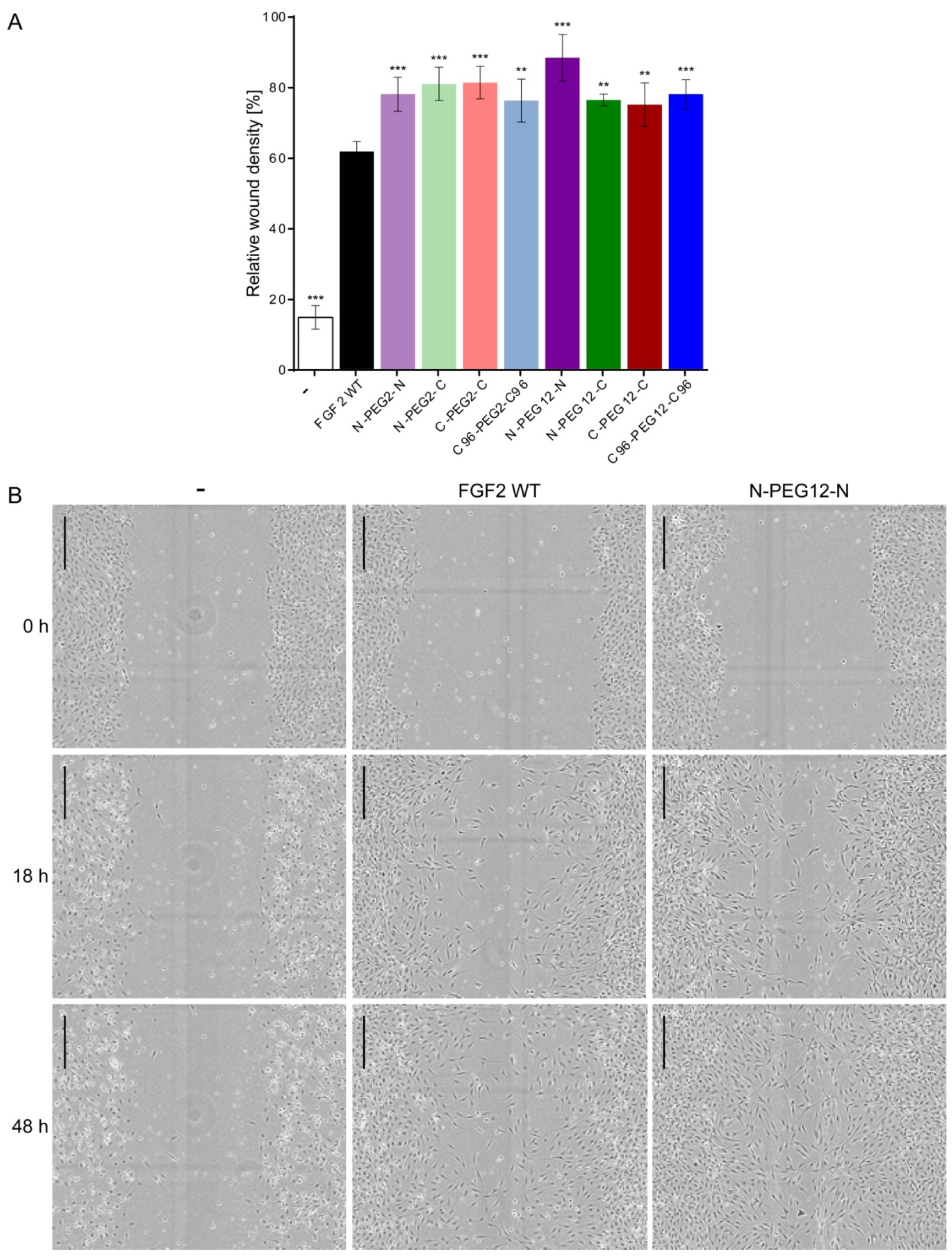 Ijms 21 04108 g006 Ijms 21 04108 g006