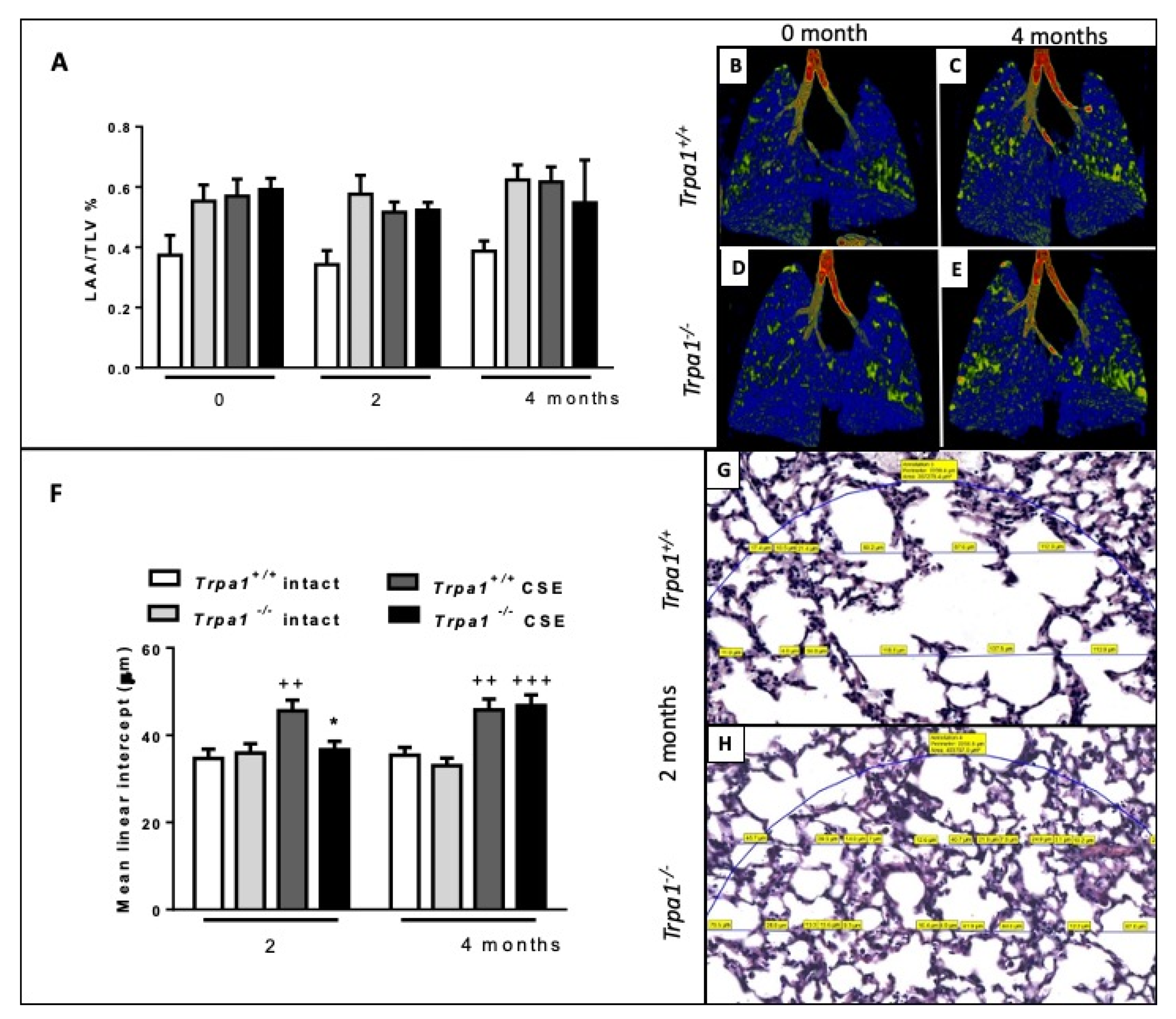 Ijms 21 04109 g008 Ijms 21 04109 g008