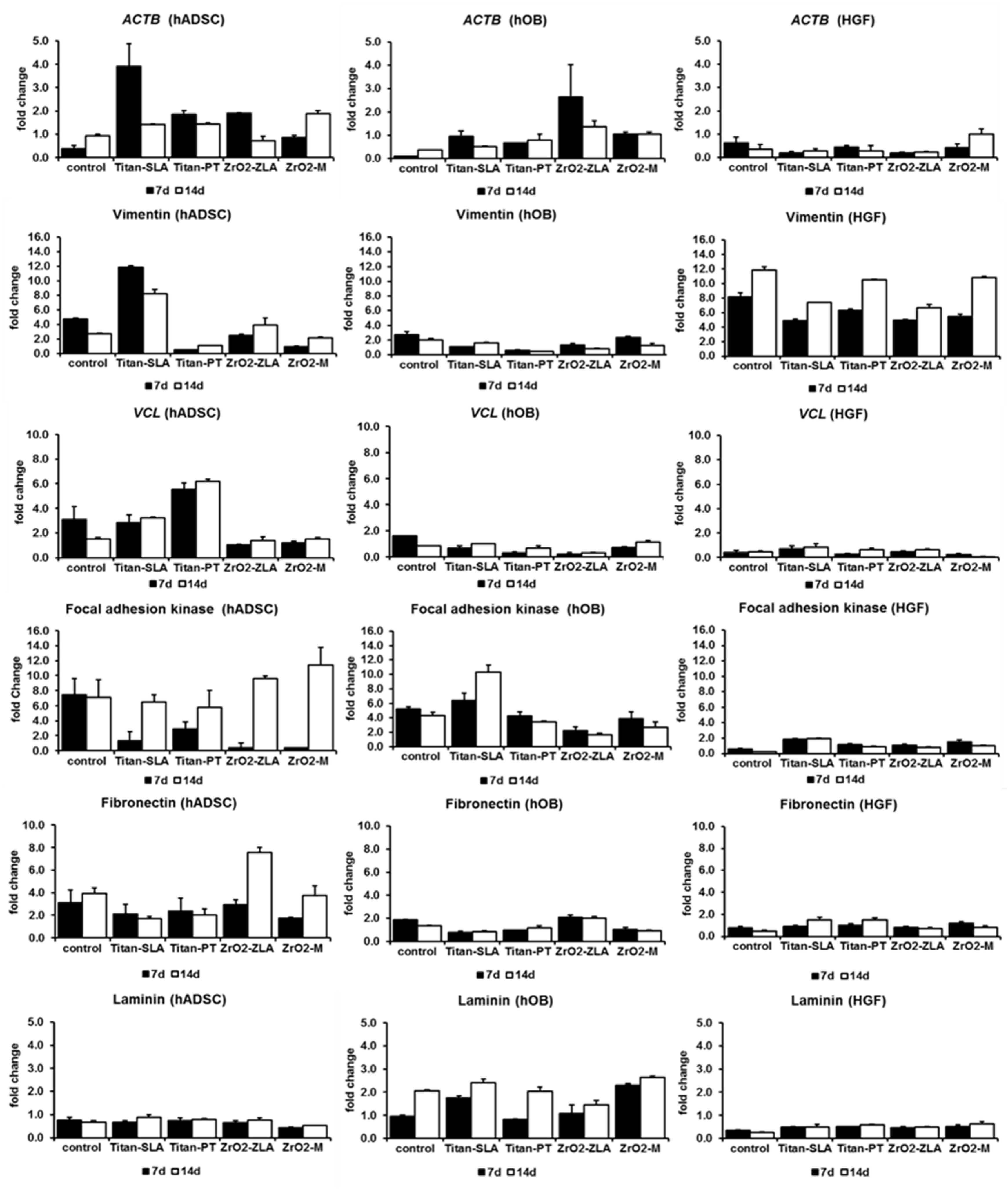 Ijms 21 04110 g004 Ijms 21 04110 g004