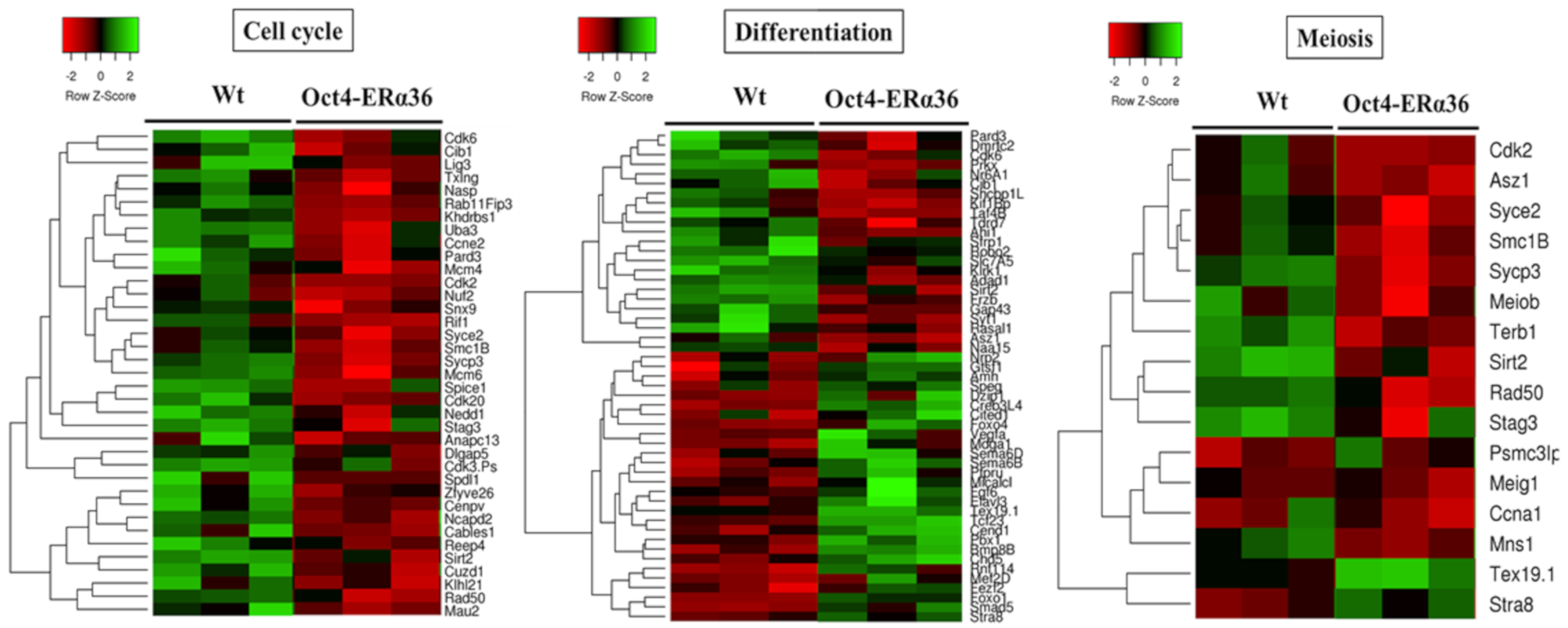 Ijms 21 04116 g003 Ijms 21 04116 g003