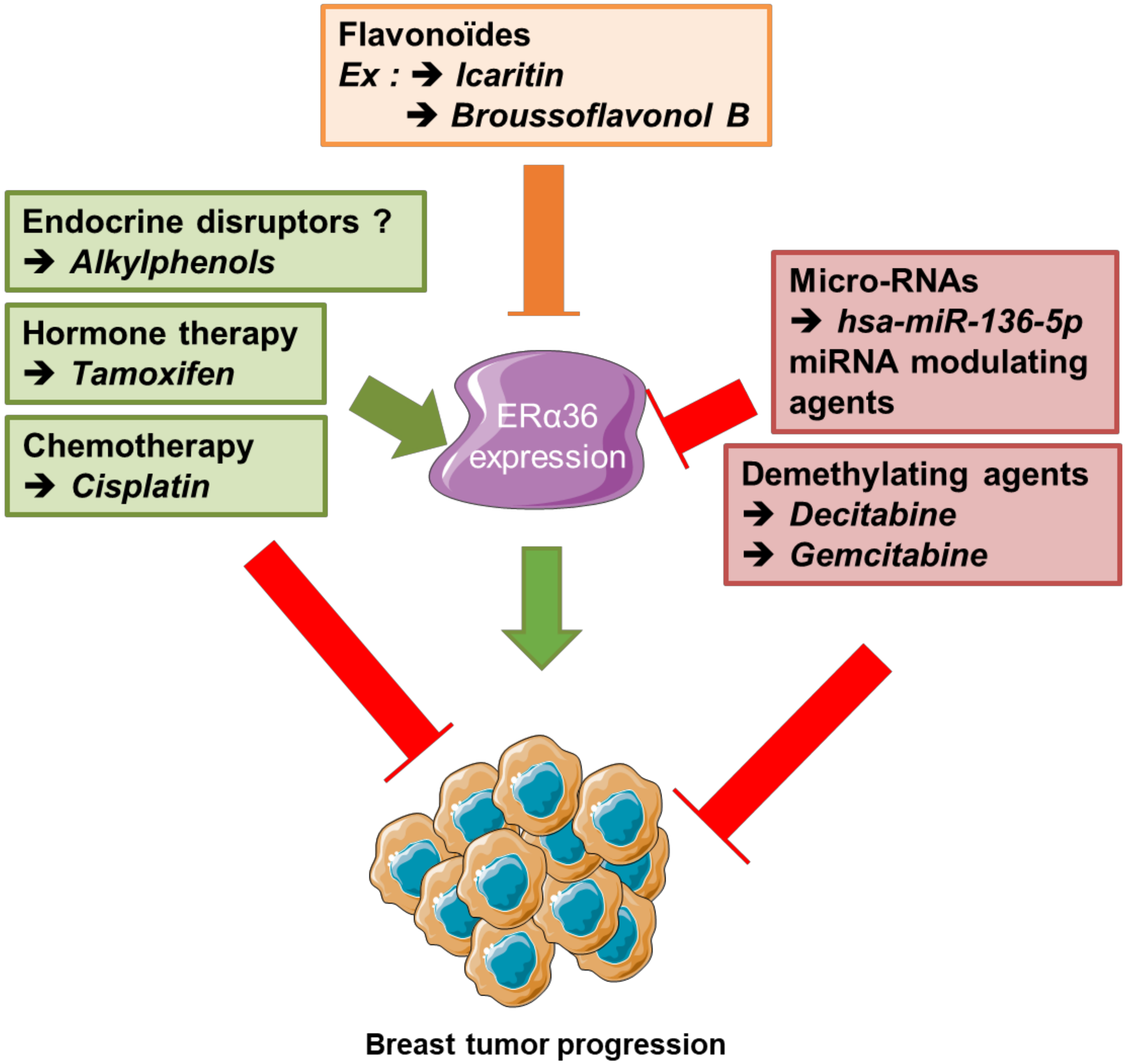Ijms 21 04116 g006 Ijms 21 04116 g006