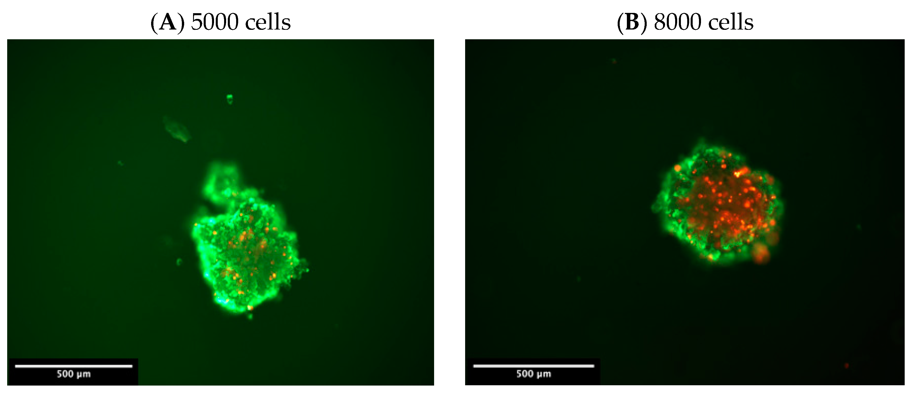 Ijms Free Full Text Evaluation Of Melanoma Sk Mel 2 Cell Growth Between Three Dimensional 3d And Two Dimensional 2d Cell Cultures With Fourier Transform Infrared Ftir Microspectroscopy Html