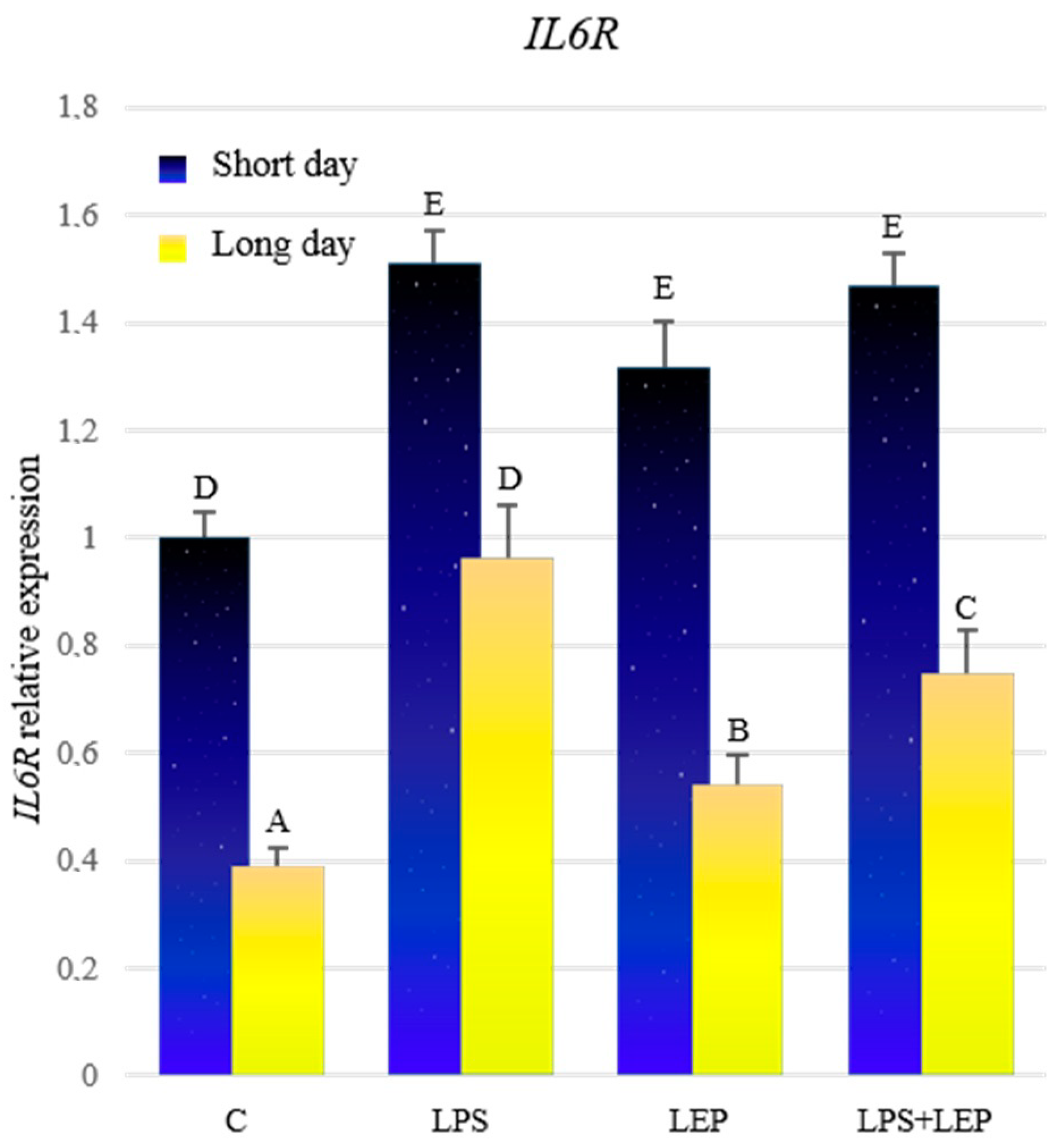 Ijms 21 04153 g005 Ijms 21 04153 g005